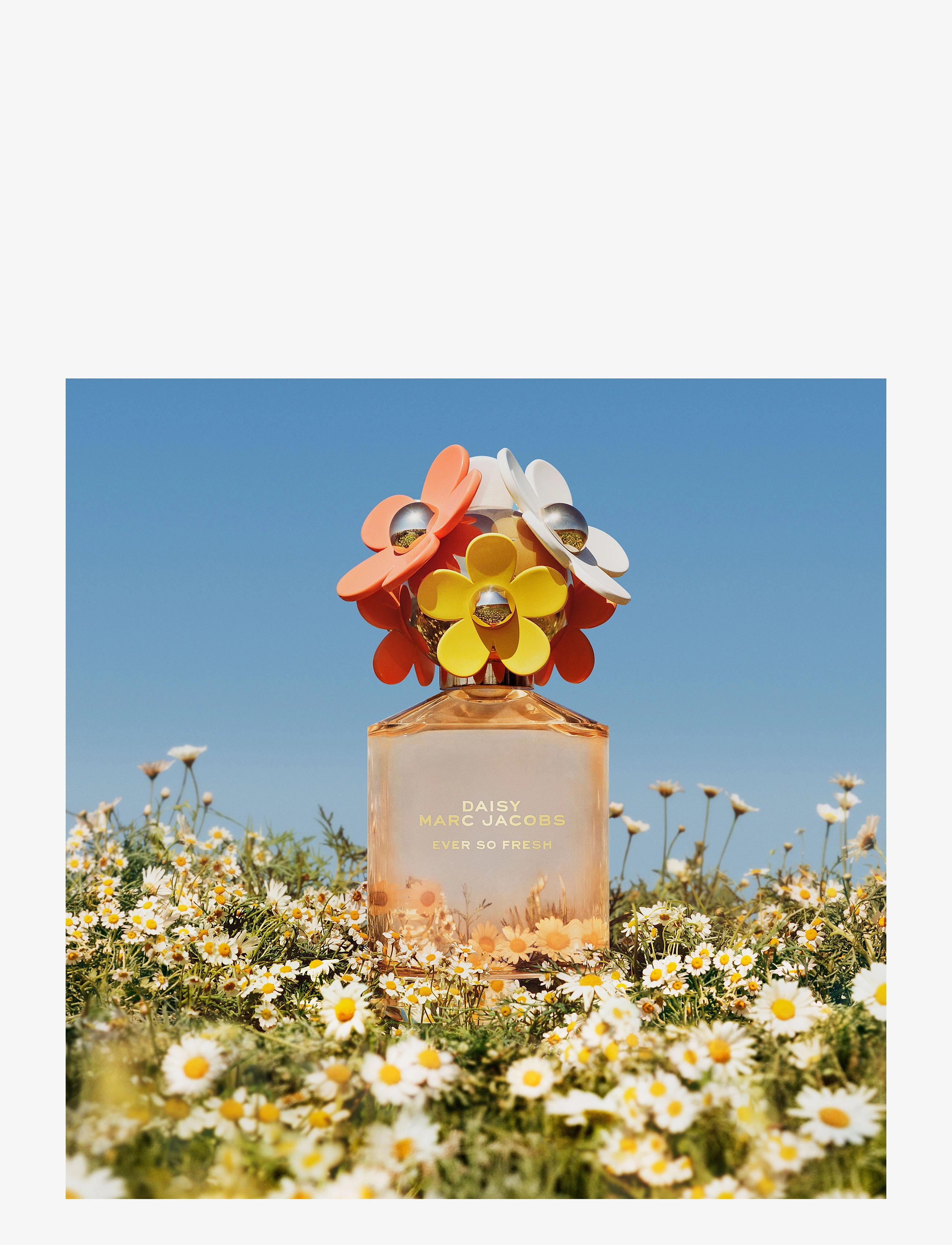 Marc Jacobs Fragrance - DAISY EVER SO FRESH EAUDE PARFUM - parfumer - clear - 2