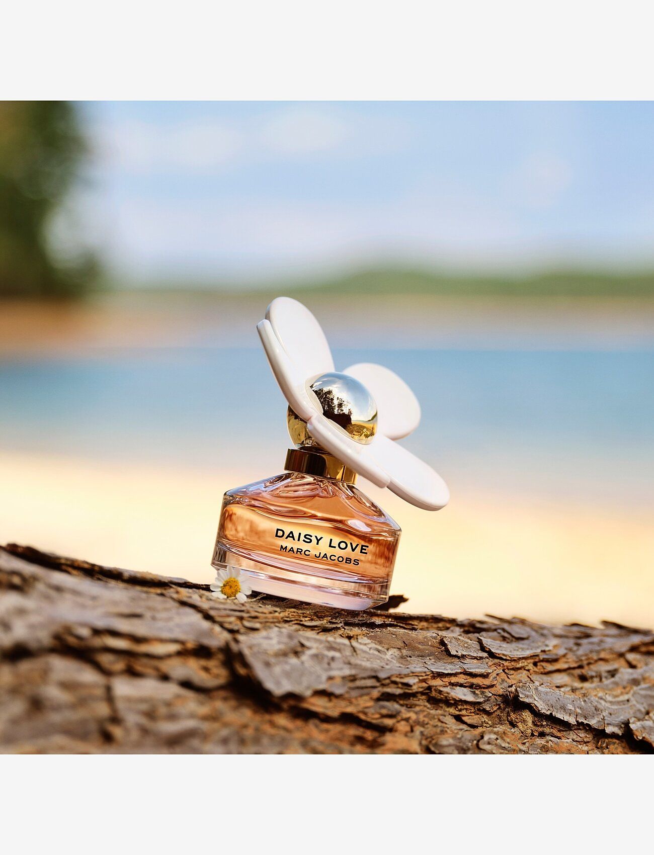 Marc Jacobs Fragrance - DAISY LOVE EAU DE TOILETTE - till henne  - clear - 5