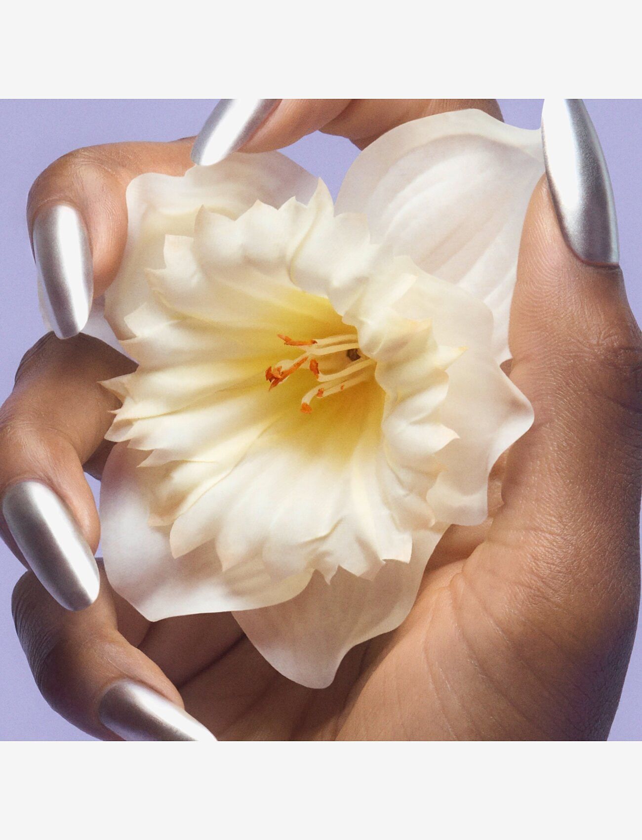 Marc Jacobs Fragrance - Perfect Eau de toilette - parfymer - clear - 4