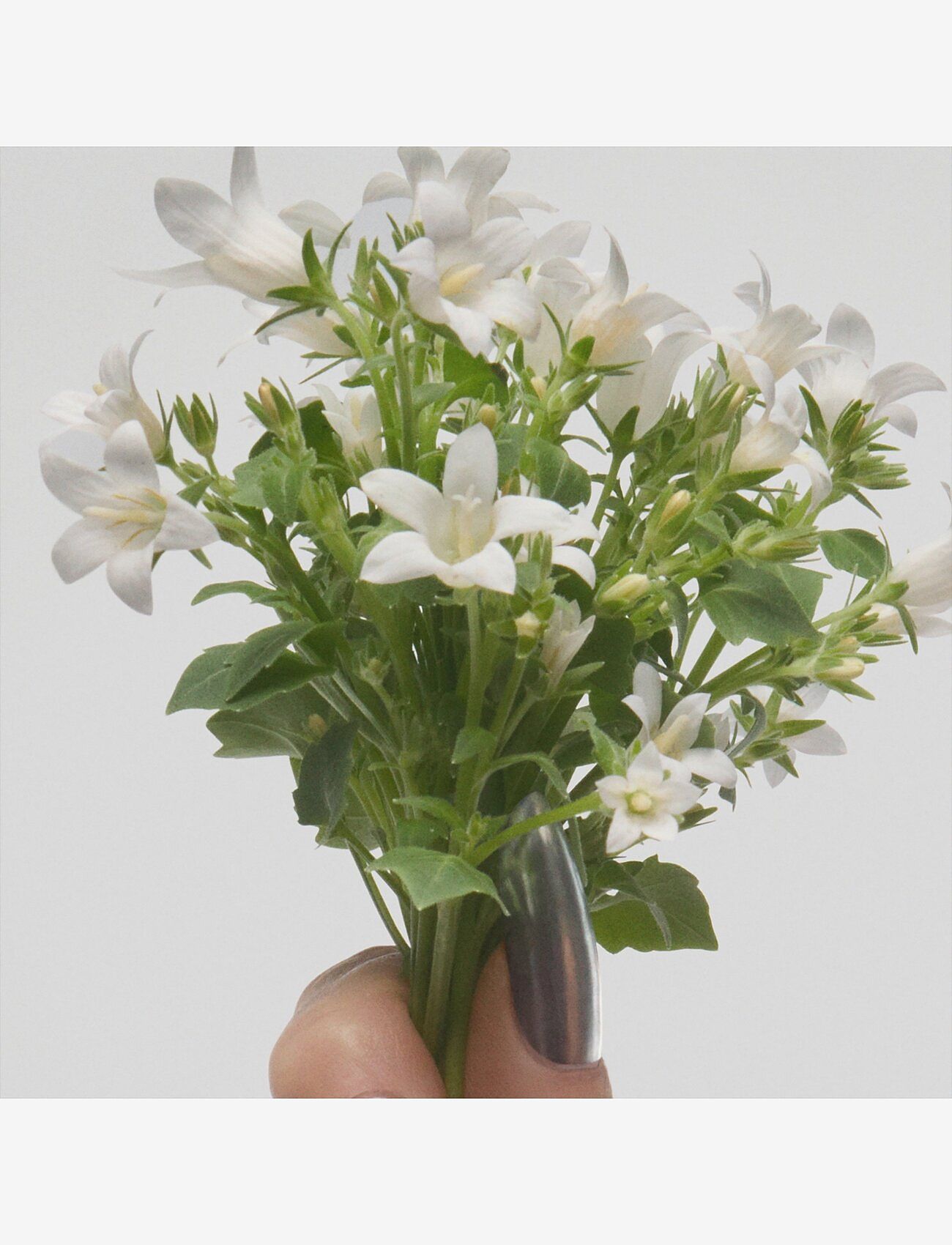 Marc Jacobs Fragrance - Perfect Eau de toilette - parfymer - clear - 5