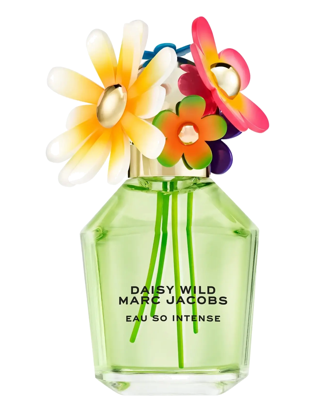 Marc Jacobs Fragrance DAISY WILD INTENSE Eau de parfum - Marc Jacobs Fragrance - null / undefined