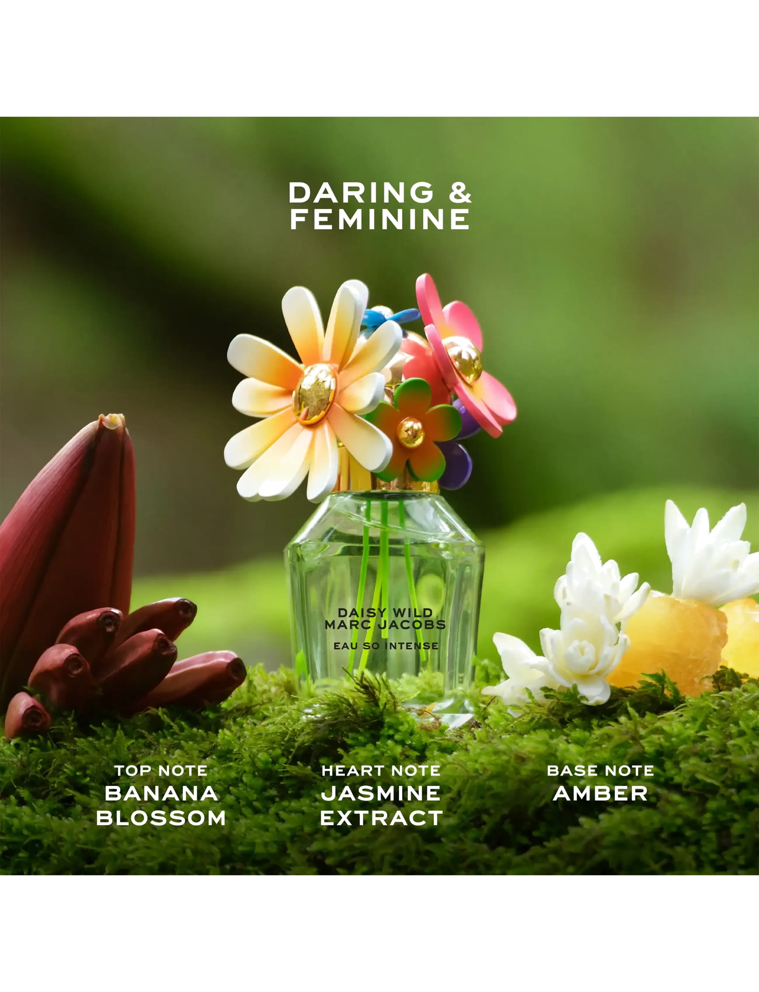 Daisy Wild Intense Eau de parfum 5