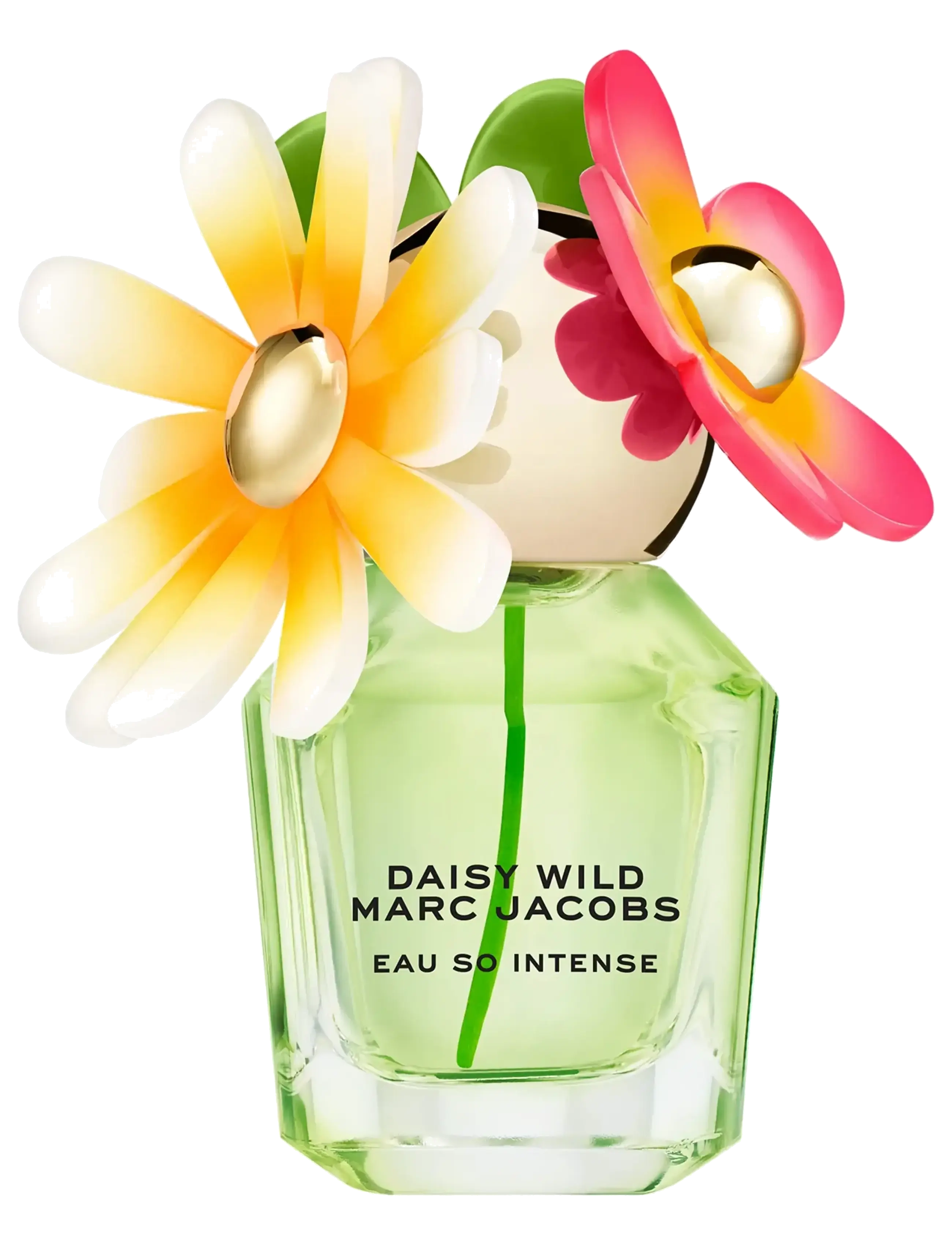 Marc Jacobs Fragrance Daisy Wild Intense Eau de Parfum - Marc Jacobs Fragrance - null / undefined