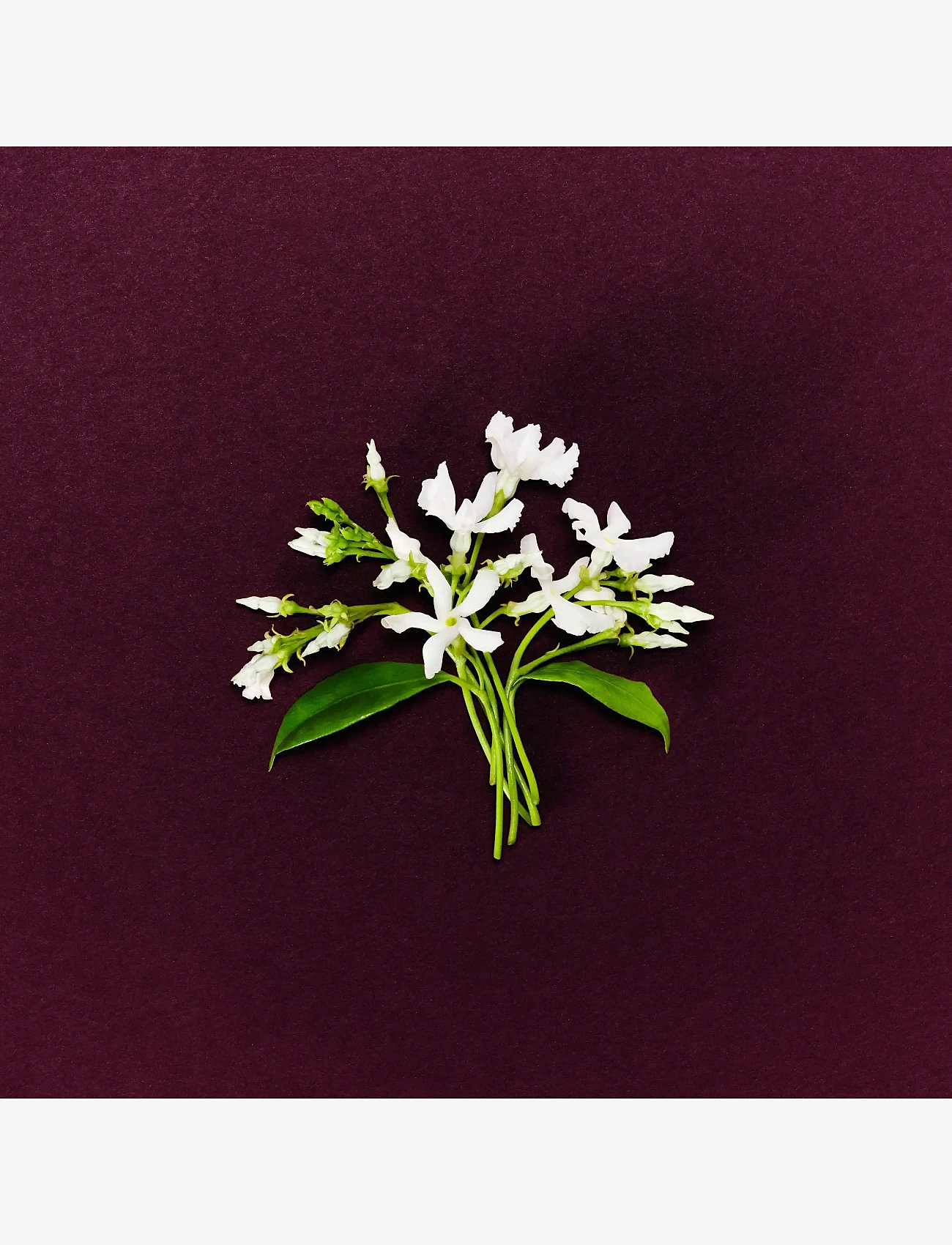 Marc Jacobs Fragrance - Perfect Absolute EdP - redo för date night - clear - 3