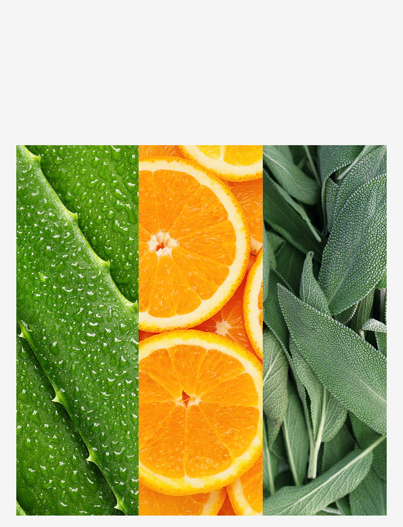 Mario Badescu - Mario Badescu Facial Spray W/ Aloe, Sage & Orange Blossom 118ml - clear - 3