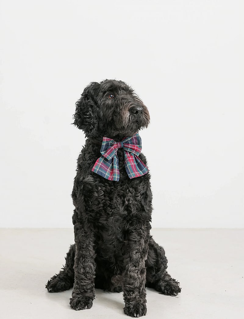 MarMar Copenhagen - Alina L - krawatten & fliegen - pilot navy check - 3