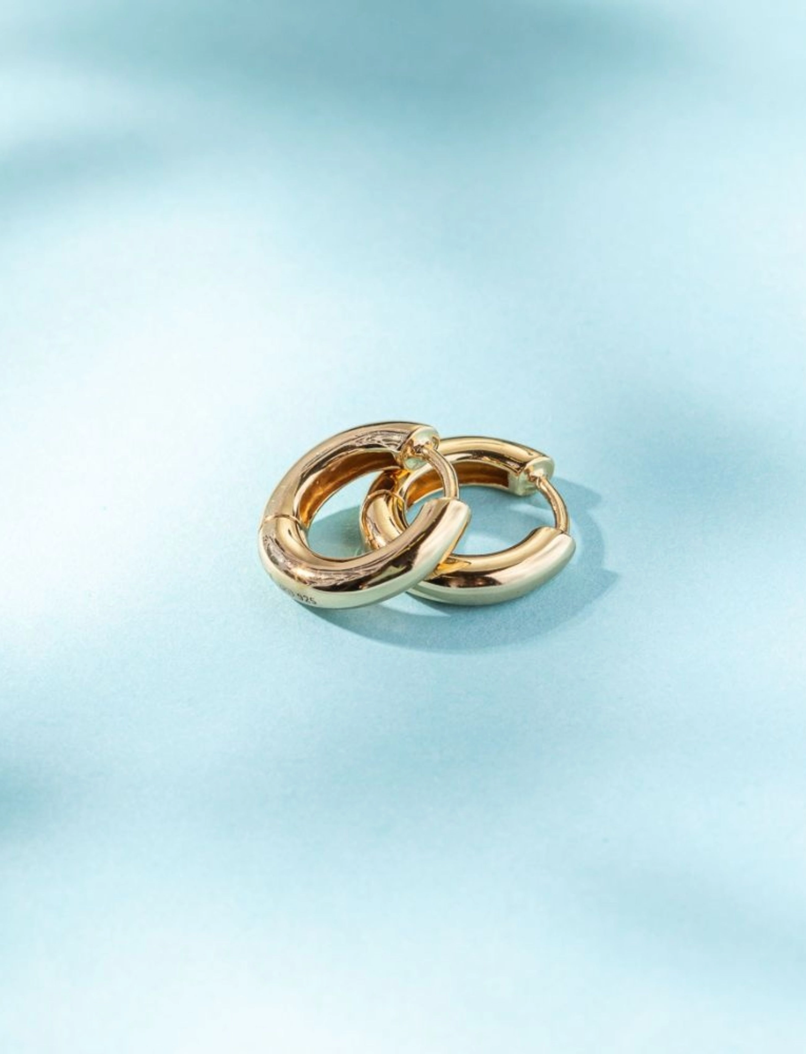 Goldplated Classic Earrings