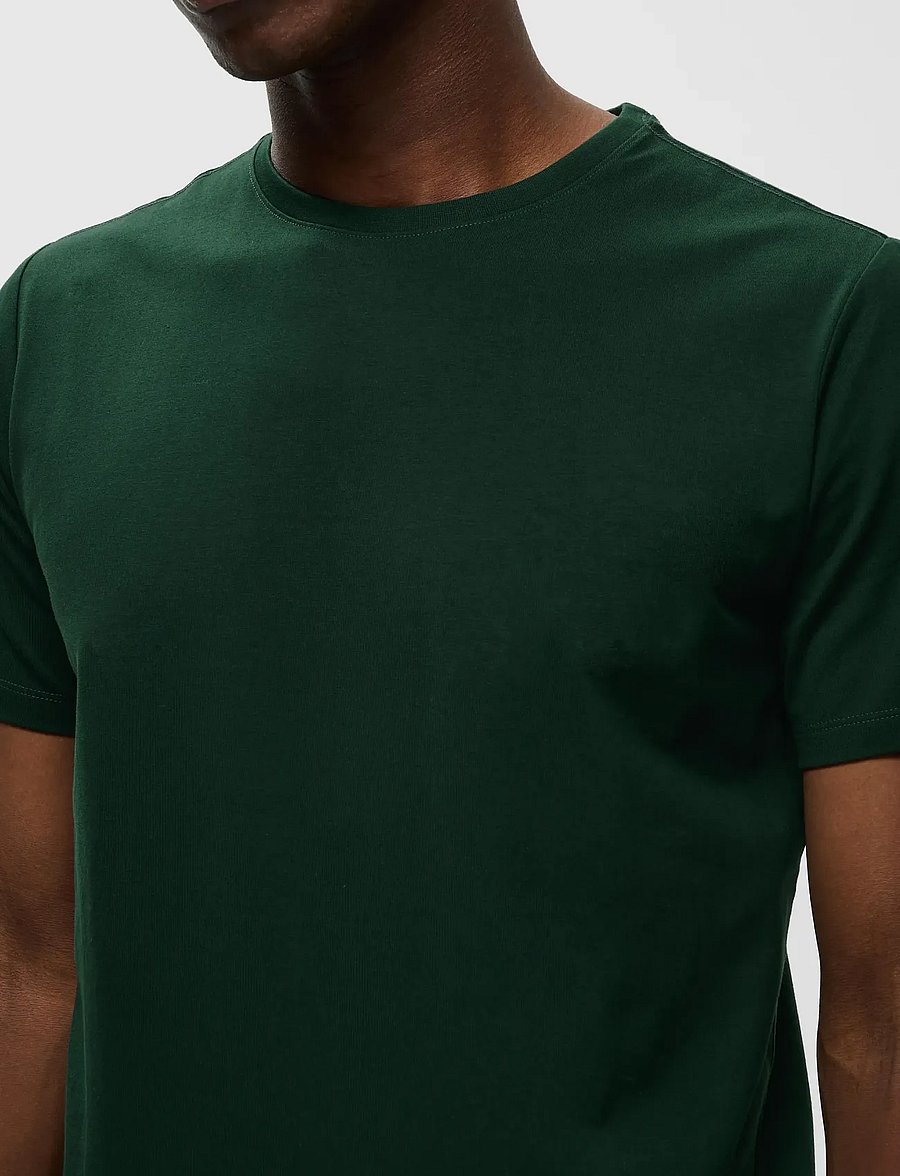 Matinique - Jermalink - short-sleeved t-shirts - scarab - 5