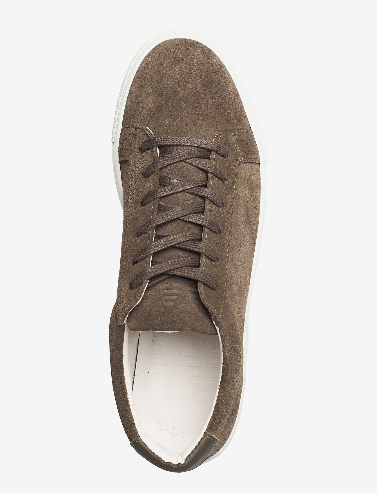 Matinique - MAdir - olive night - 3