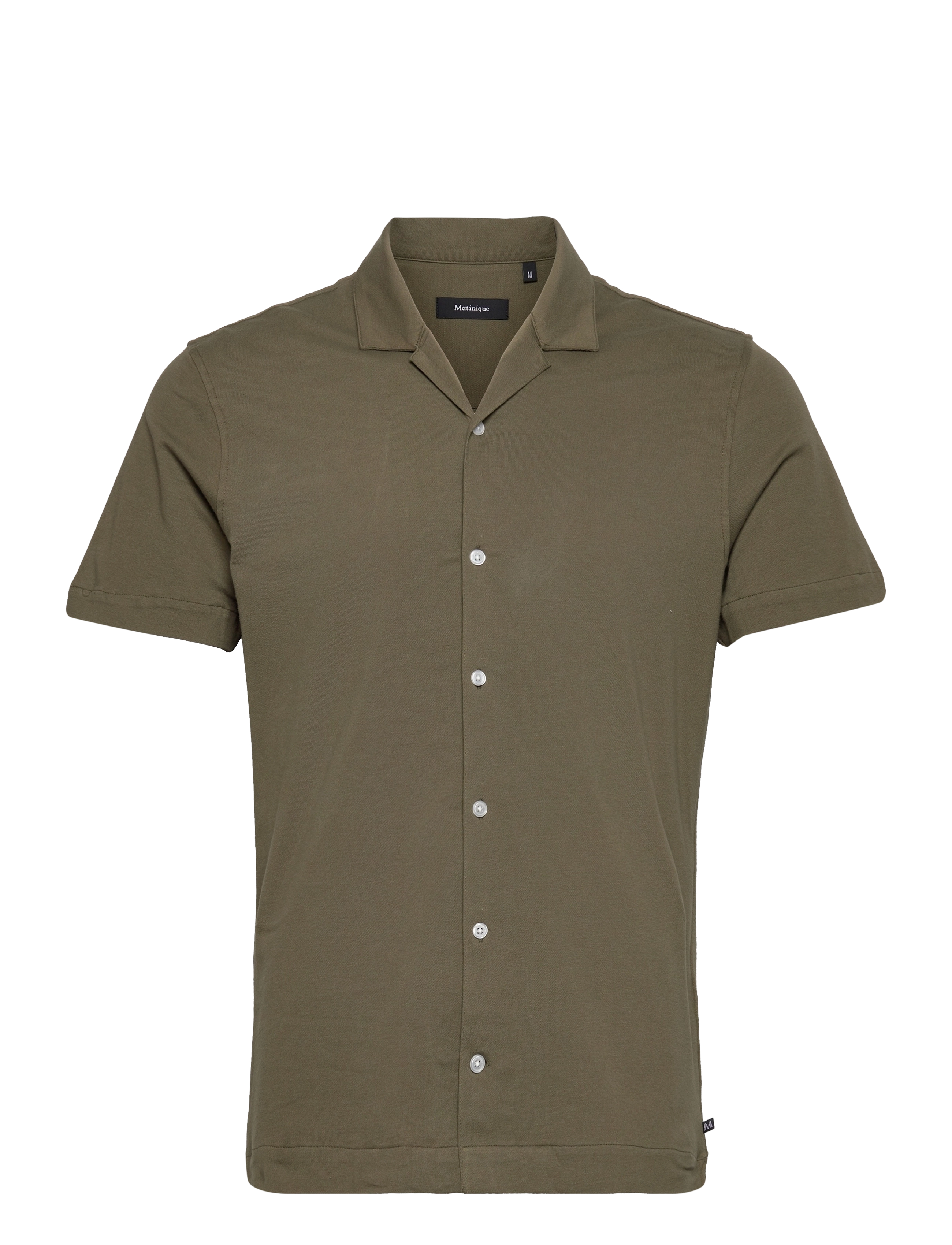 OLIVE NIGHT
