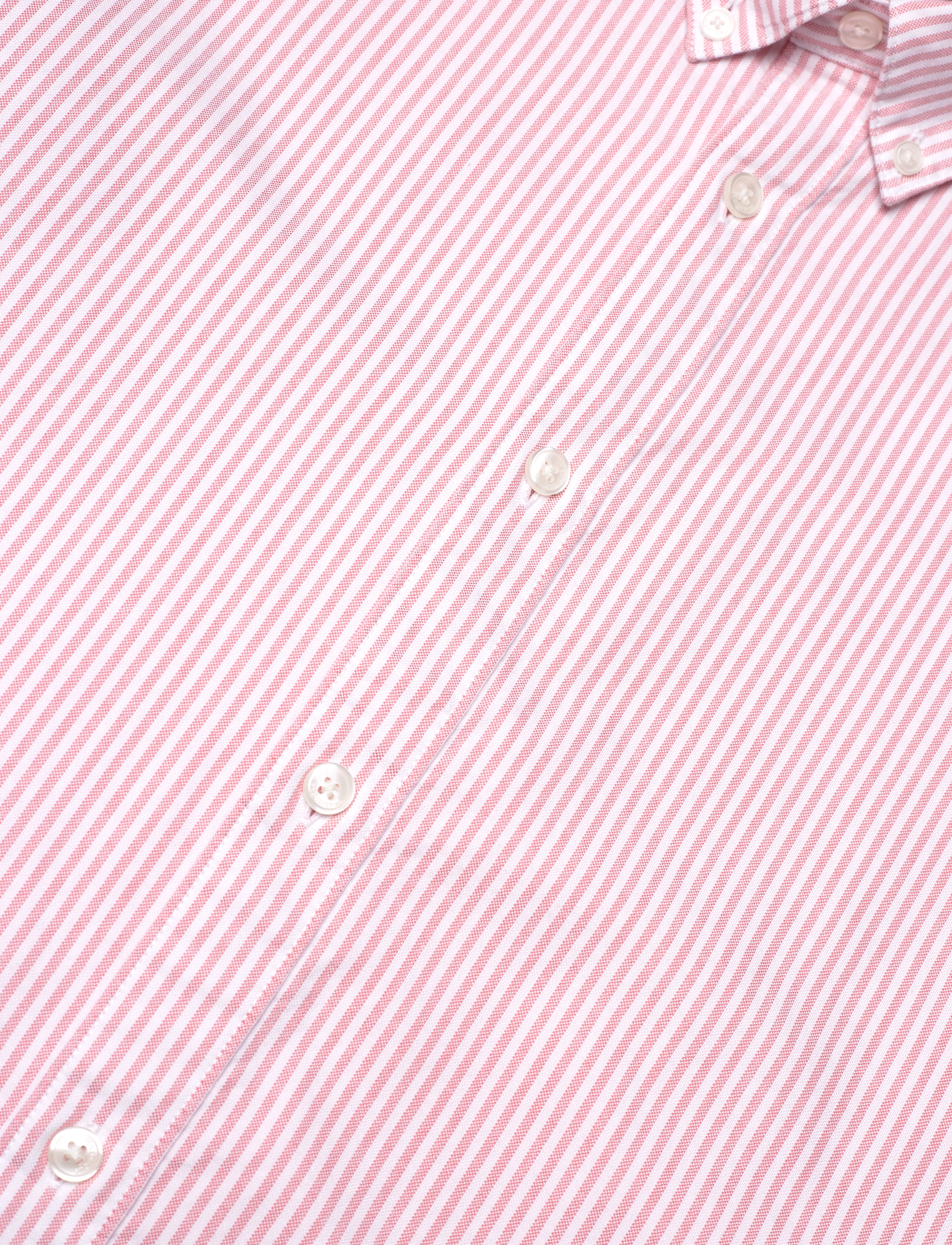 Matinique - MAtrostol BD - casual skjorter - faded rose - 3