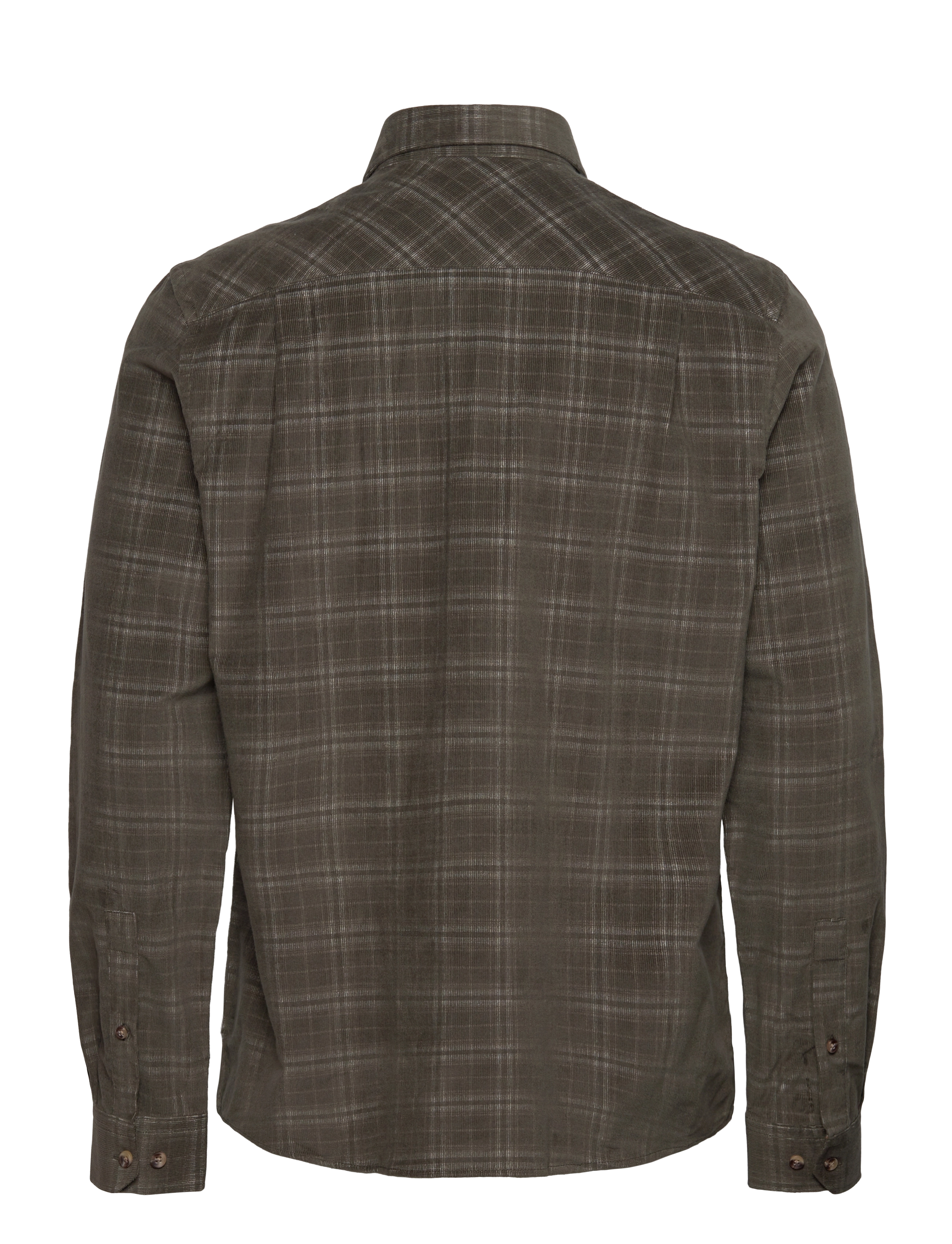 MCS - Ashton Reg CO MCS M SHIRT - ternede skjorter - 19-0312tcx beetle - 1