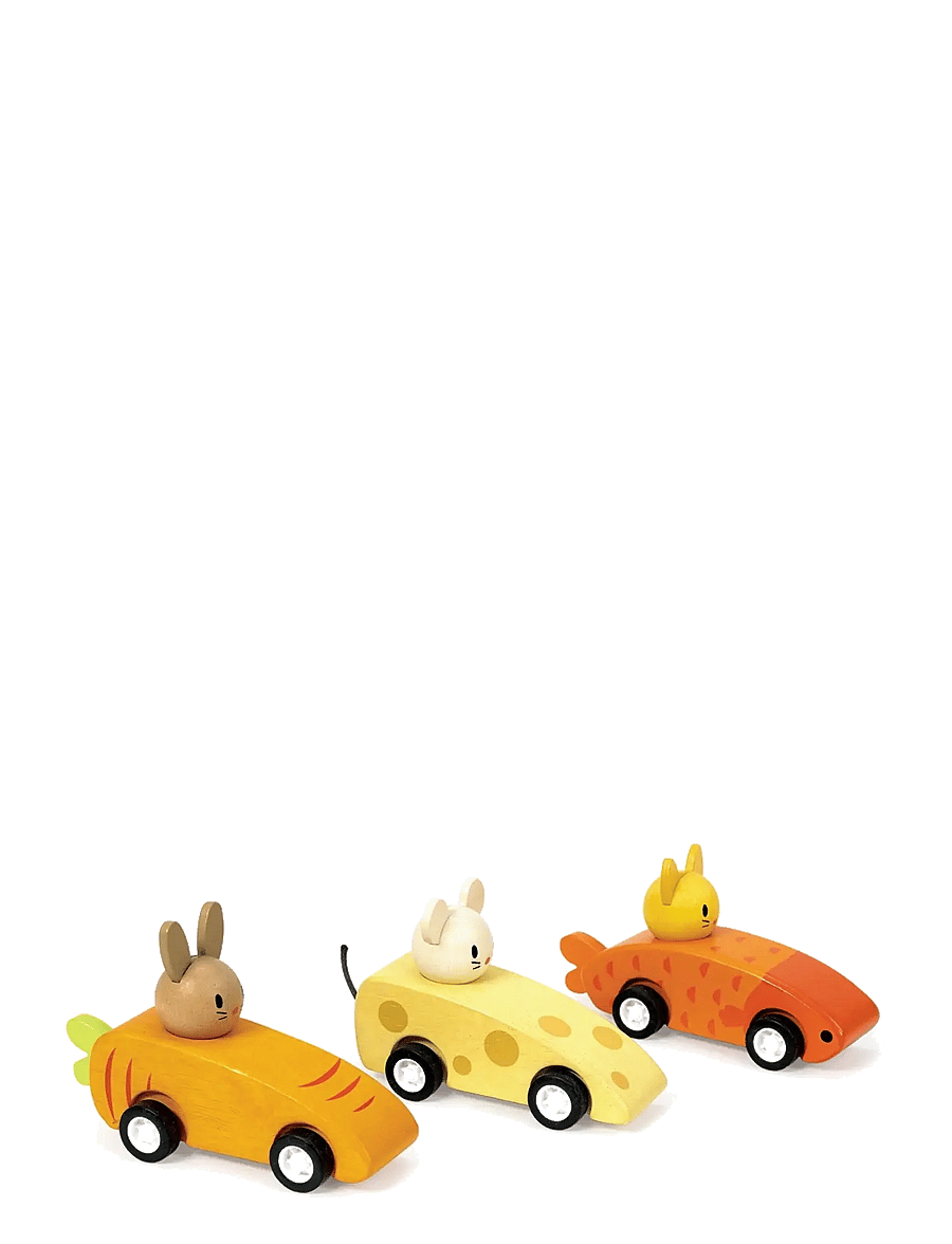 Mentari - 3 Pullback Racing Cars - Animal Friends - puidust figuurid - orange - 2