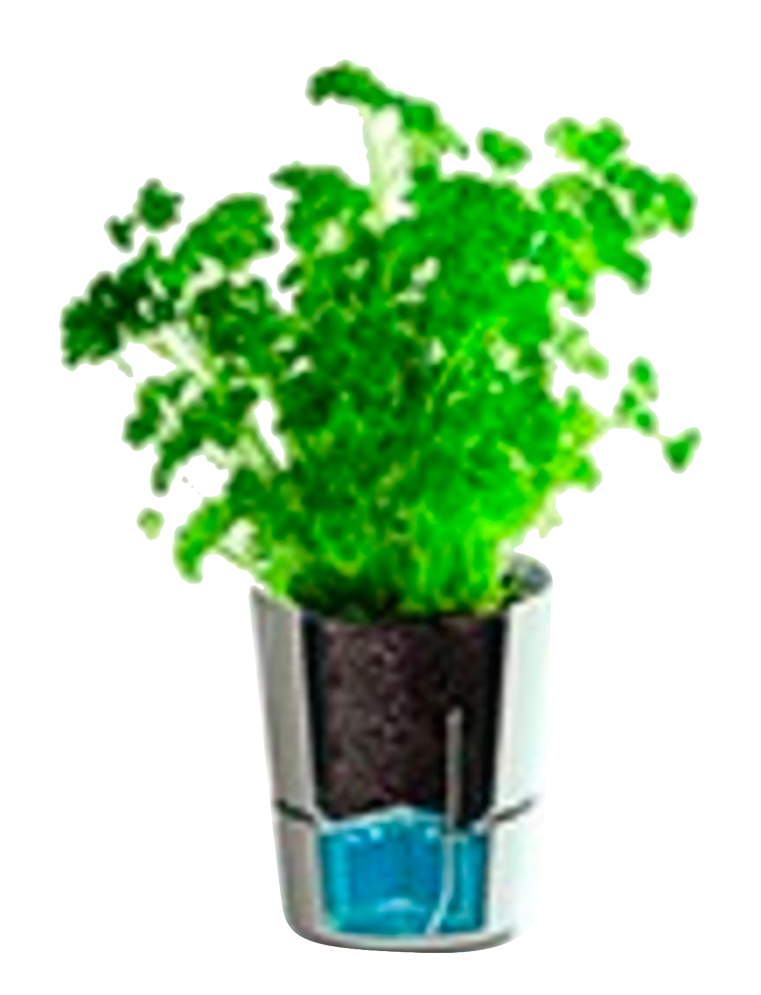 Mepal - Hydro herbs - white - 2