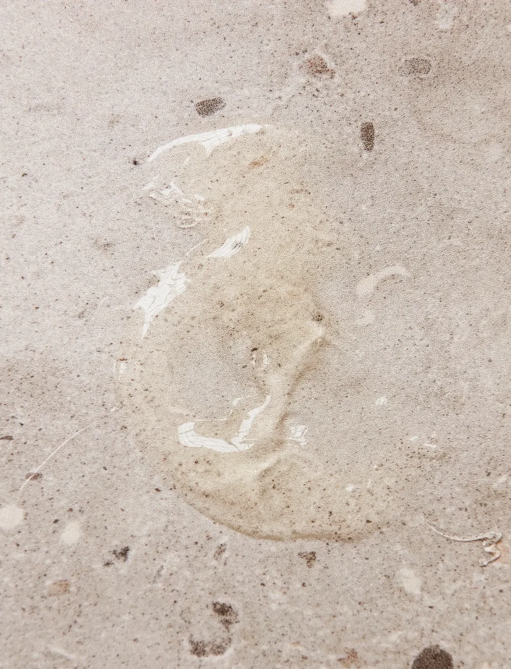 meraki - Hand soap Meadow bliss - flytande tvål - clear - 2