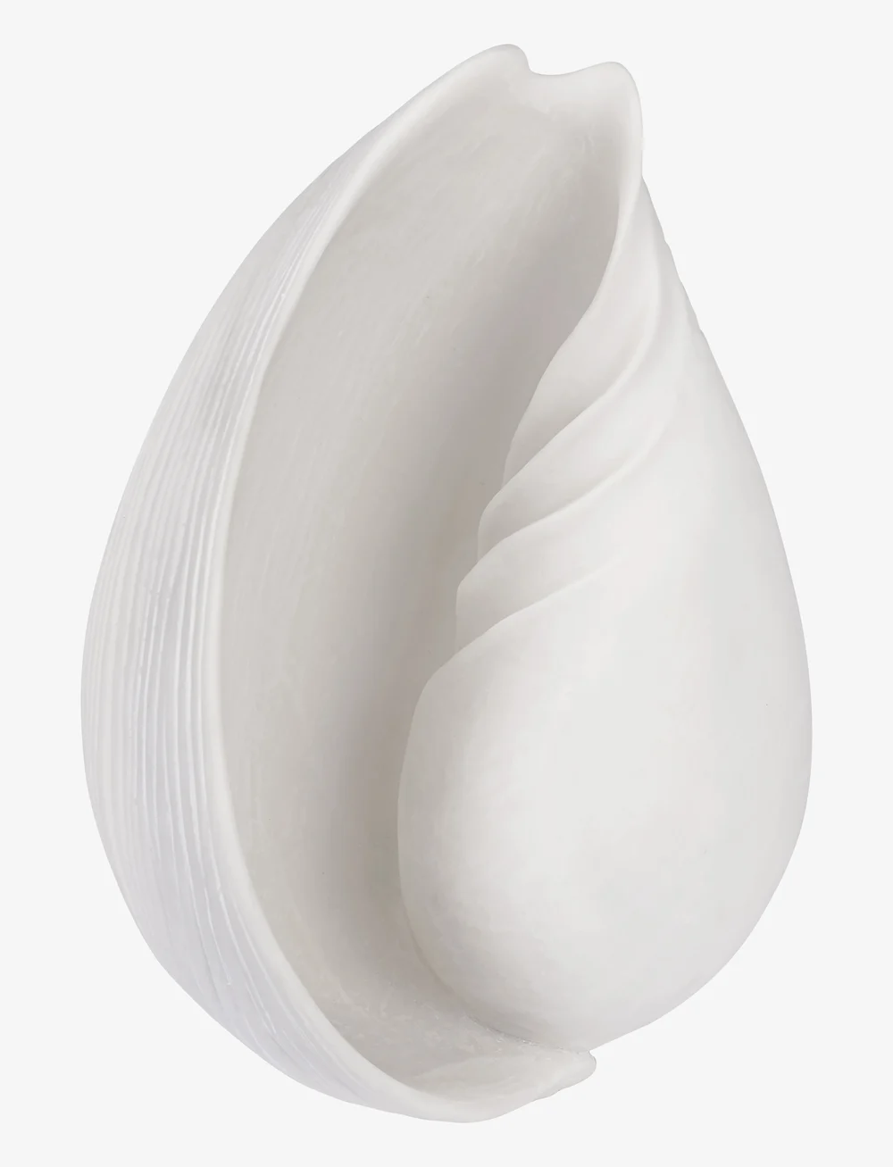 Mette Ditmer - CONCH shell - figuren & skulpturen - off-white - 0