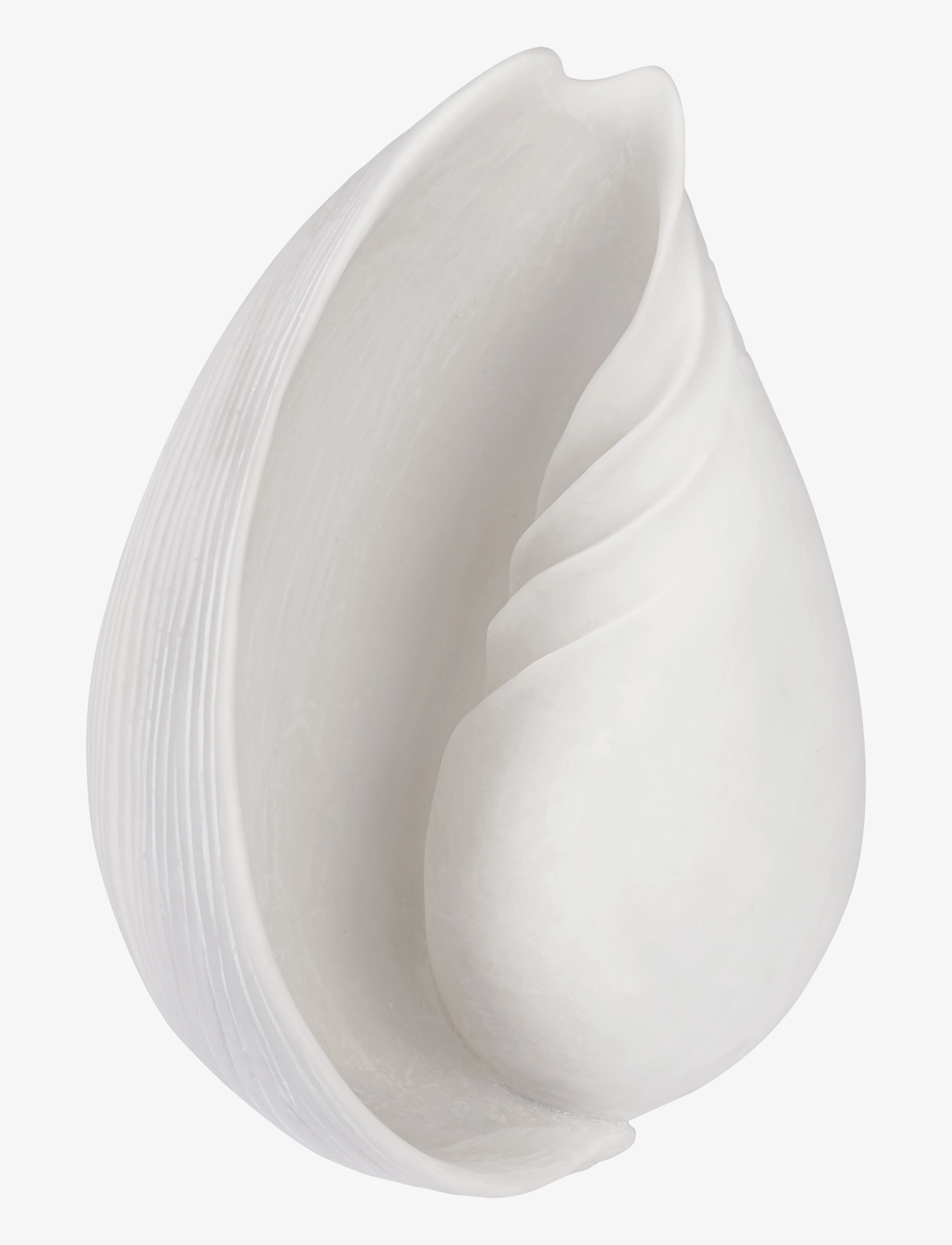 Mette Ditmer CONCH shell - Accessoires décoratifs - OFF-WHITE / white