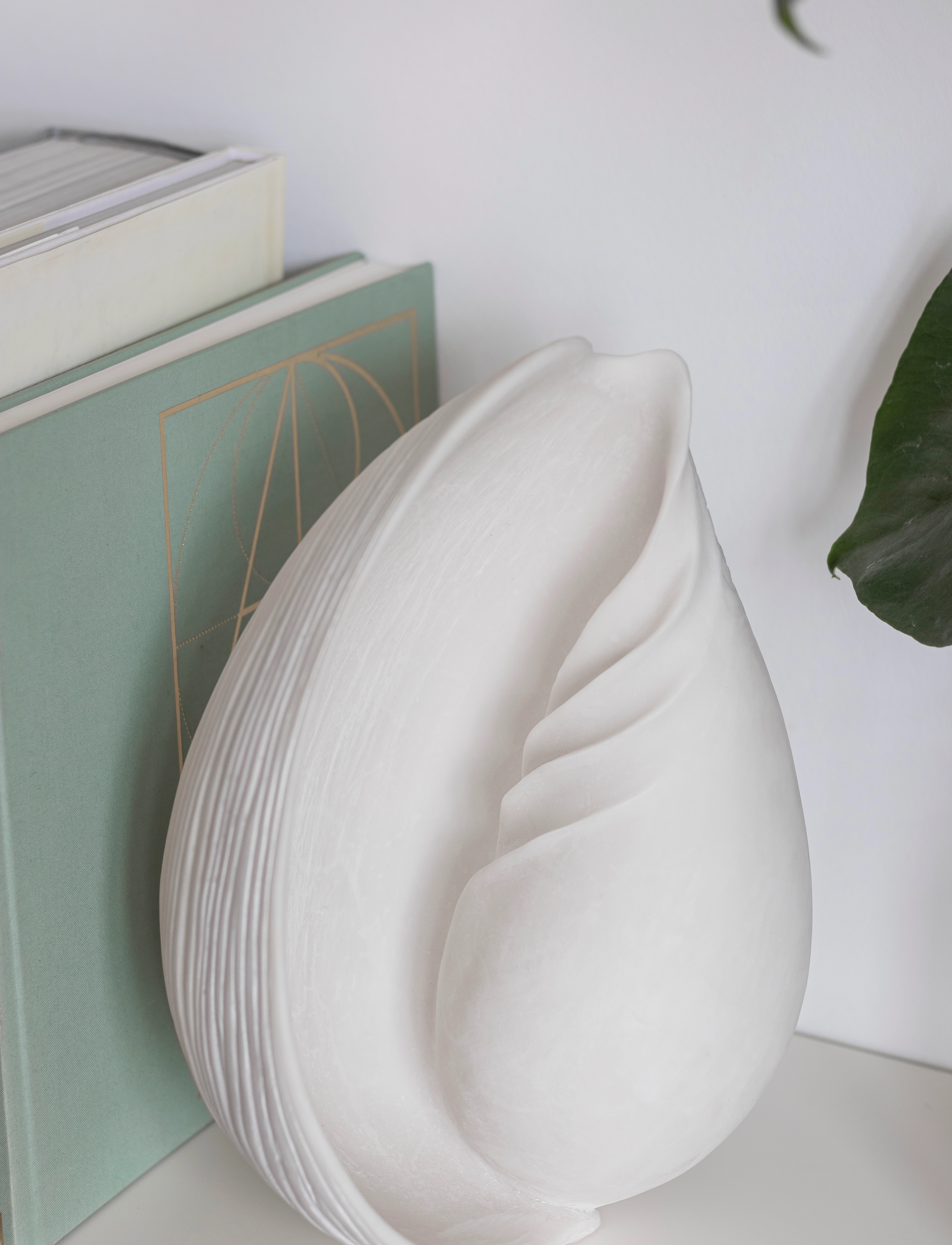Mette Ditmer CONCH shell - Konfirmation - OFF-WHITE / white