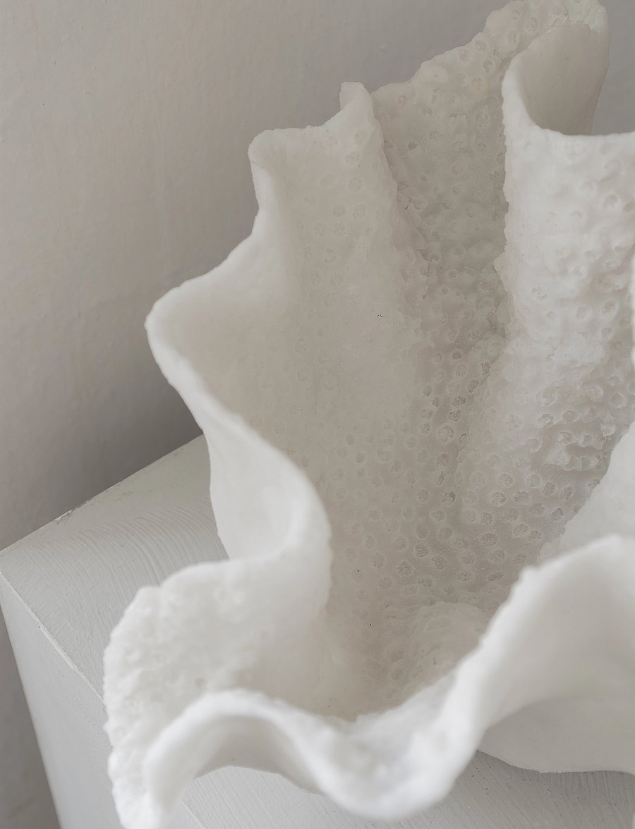 Mette Ditmer - CORAL deco bowl - dekoratiivsed vaagnad - off-white - 5