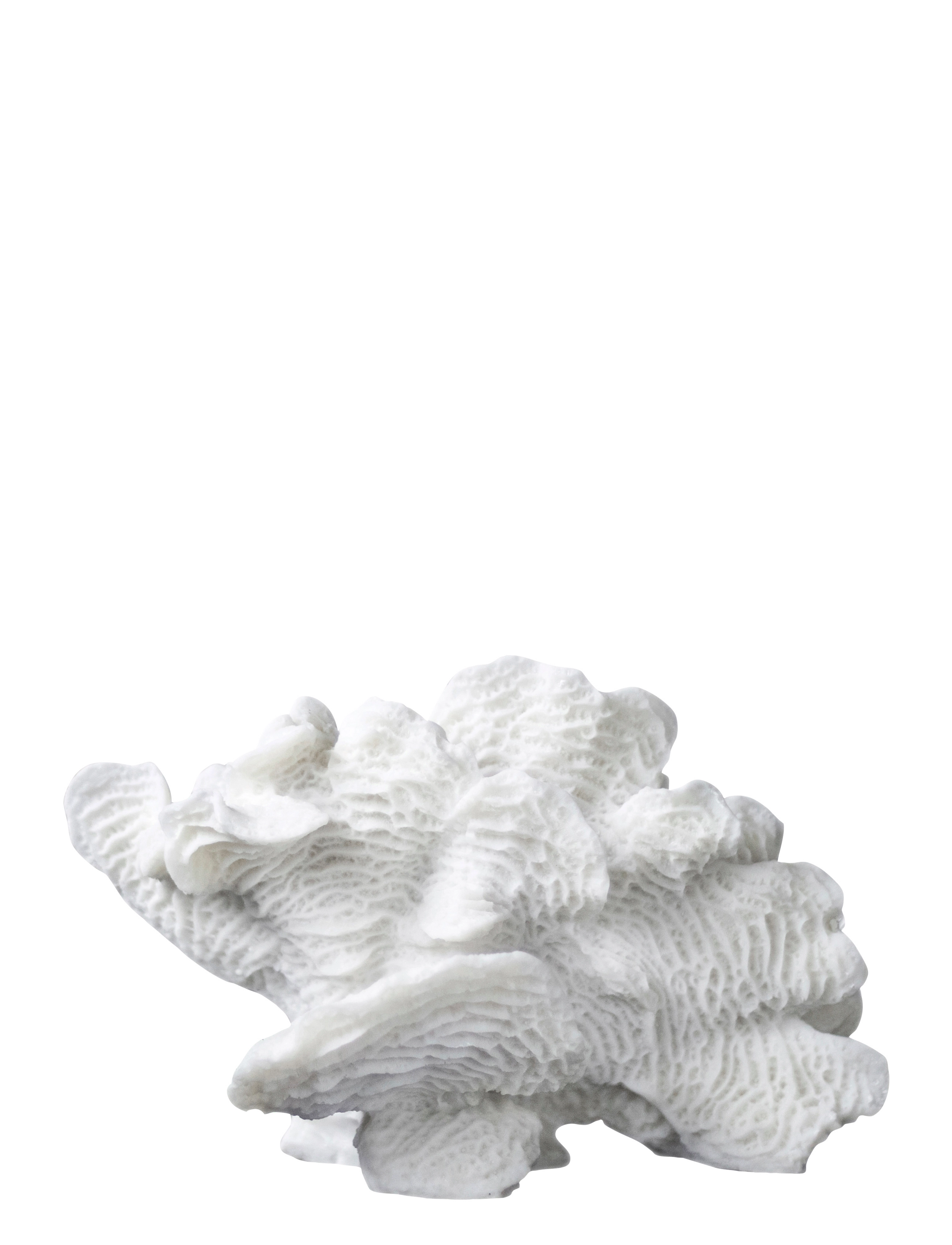Mette Ditmer Coral, Large Fan, 13X24X16 cm, Decorative Accessories-details, Weiß - Porcelain Figures & Sculptures, Homeware