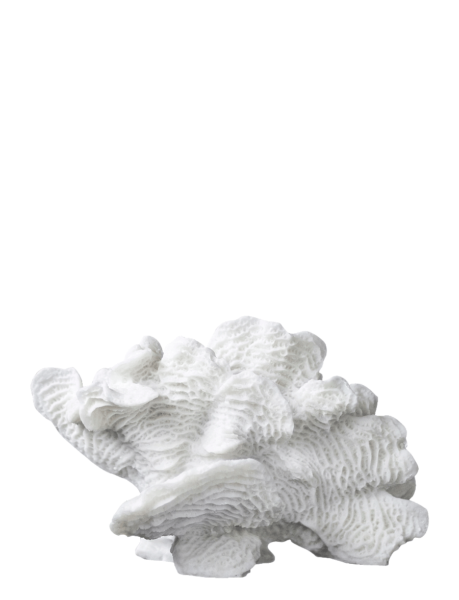 Mette Ditmer - CORAL, large fan - nach preis einkaufen - white - 0