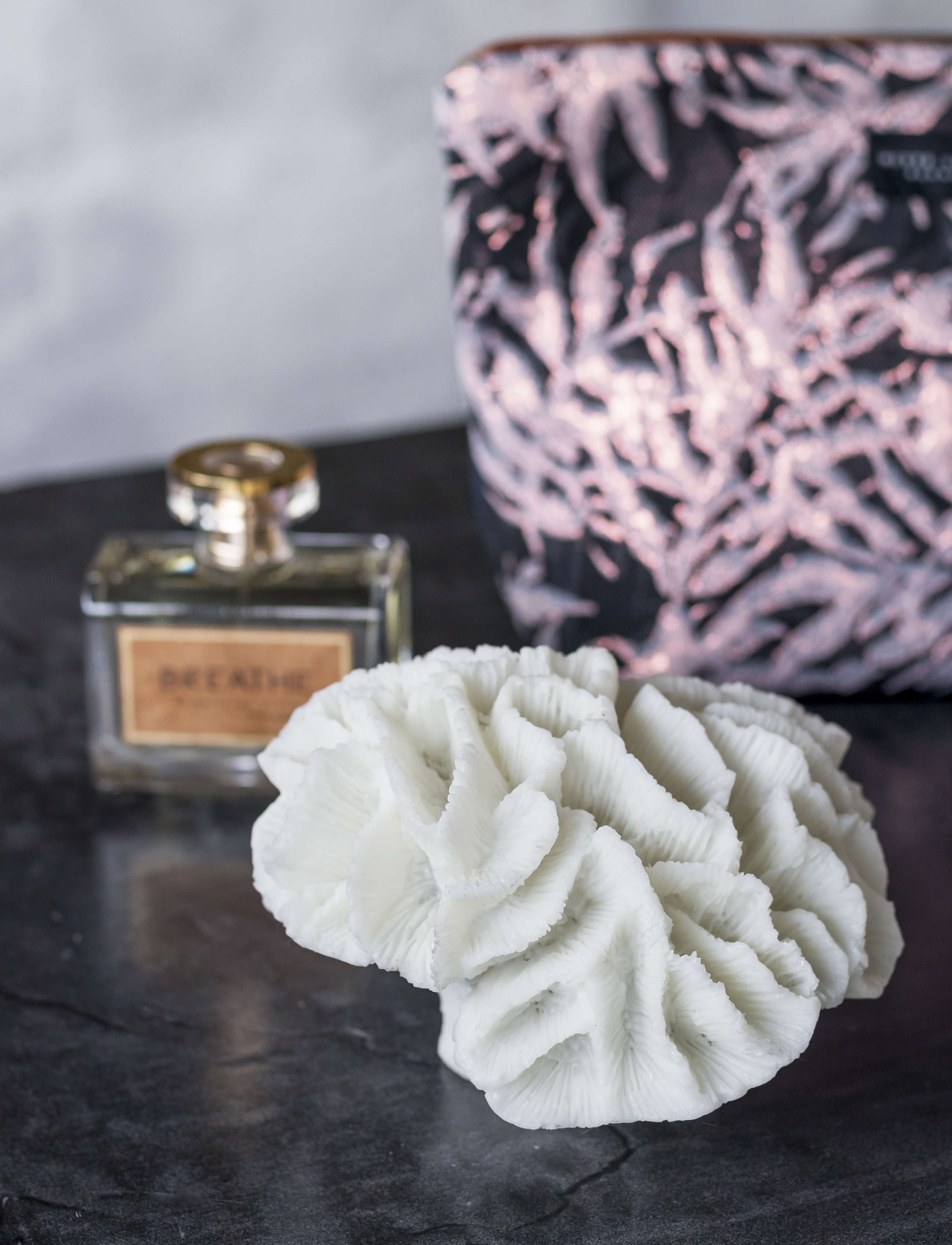 Mette Ditmer - CORAL, gills - skulpturer & figurer - white - 1