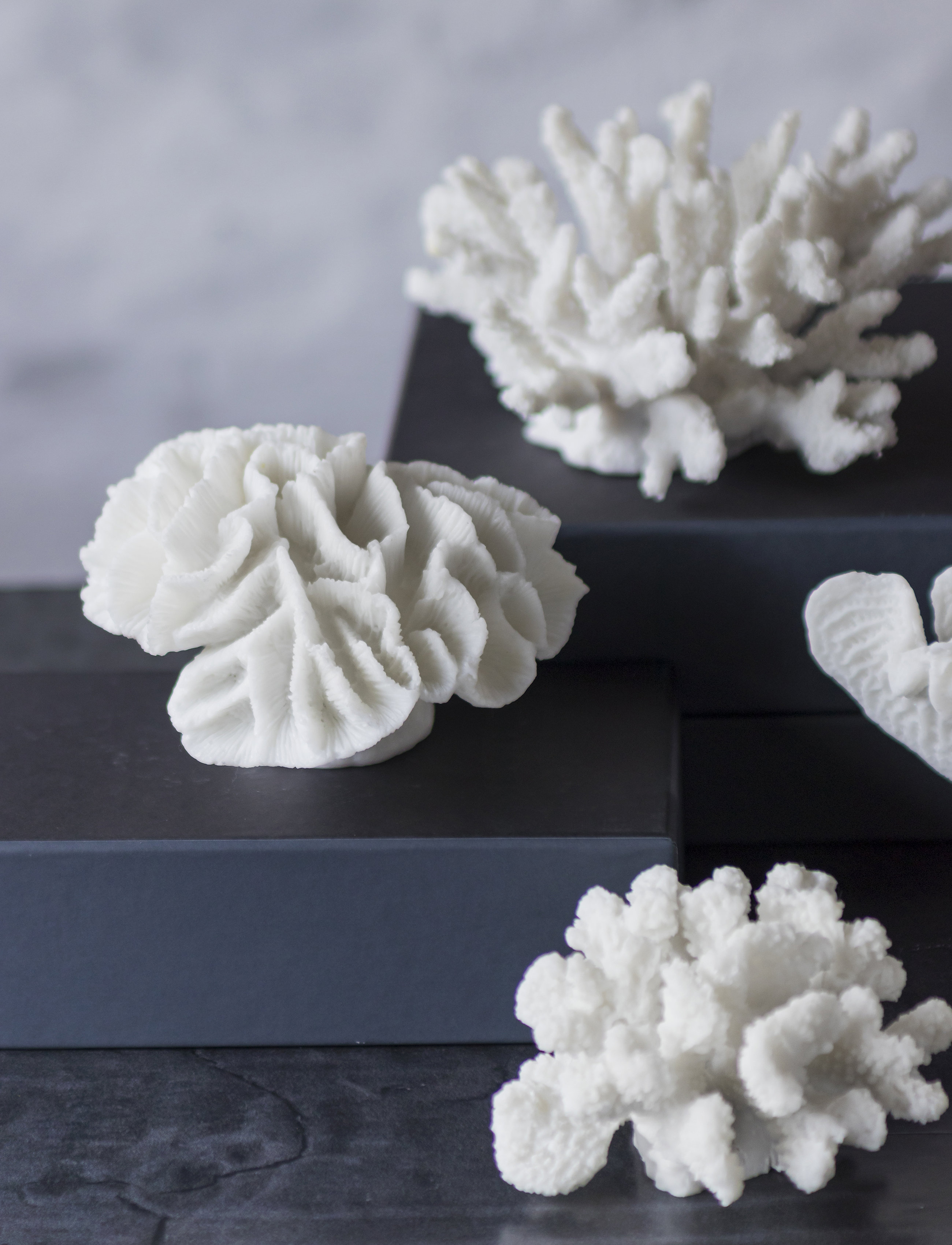 Mette Ditmer - CORAL, gills - skulpturer & figurer - white - 2