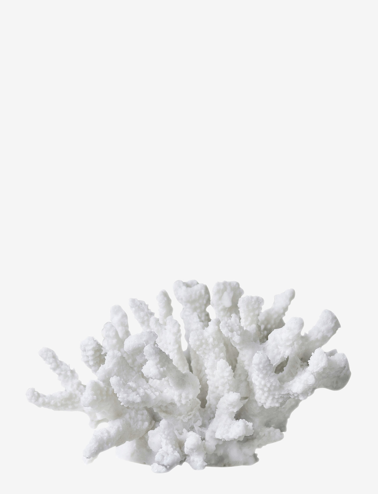 Mette Ditmer - CORAL, branches - køb efter pris - white - 0