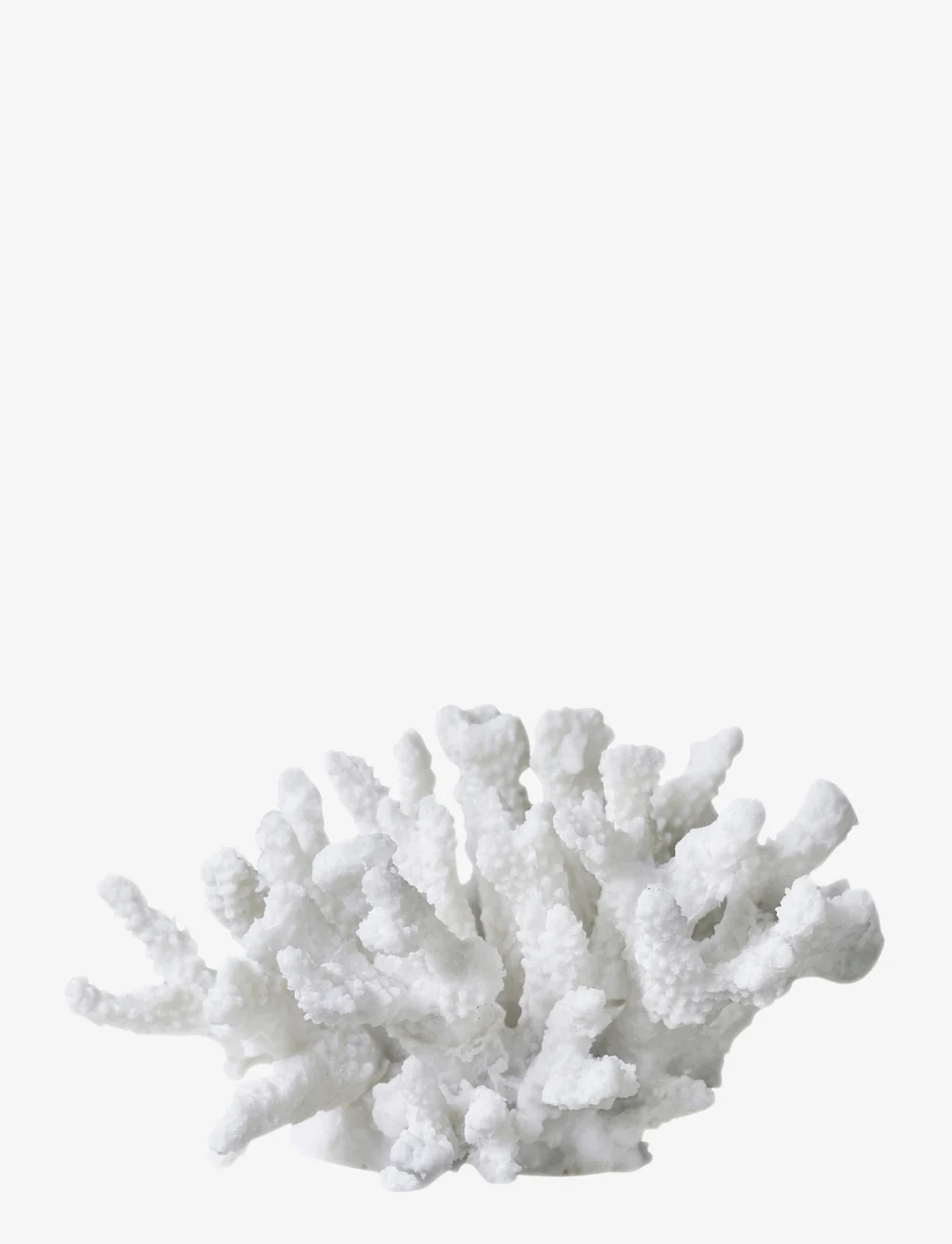 Mette Ditmer - CORAL, branches - figuren & skulpturen - white - 0