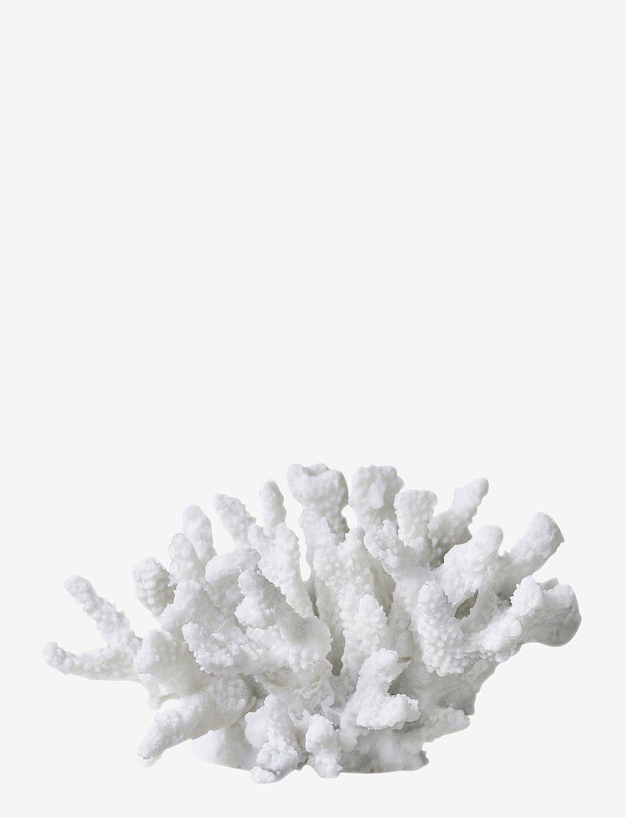 Mette Ditmer - CORAL, branches - figuren & skulpturen - white - 0