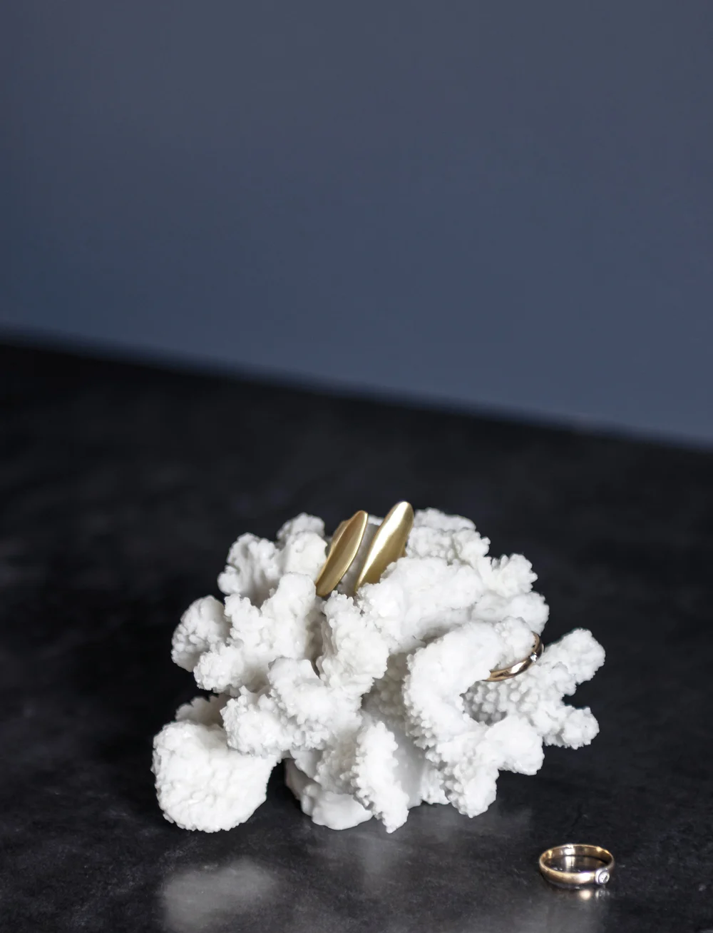 Mette Ditmer - CORAL, branches - figuren & skulpturen - white - 1