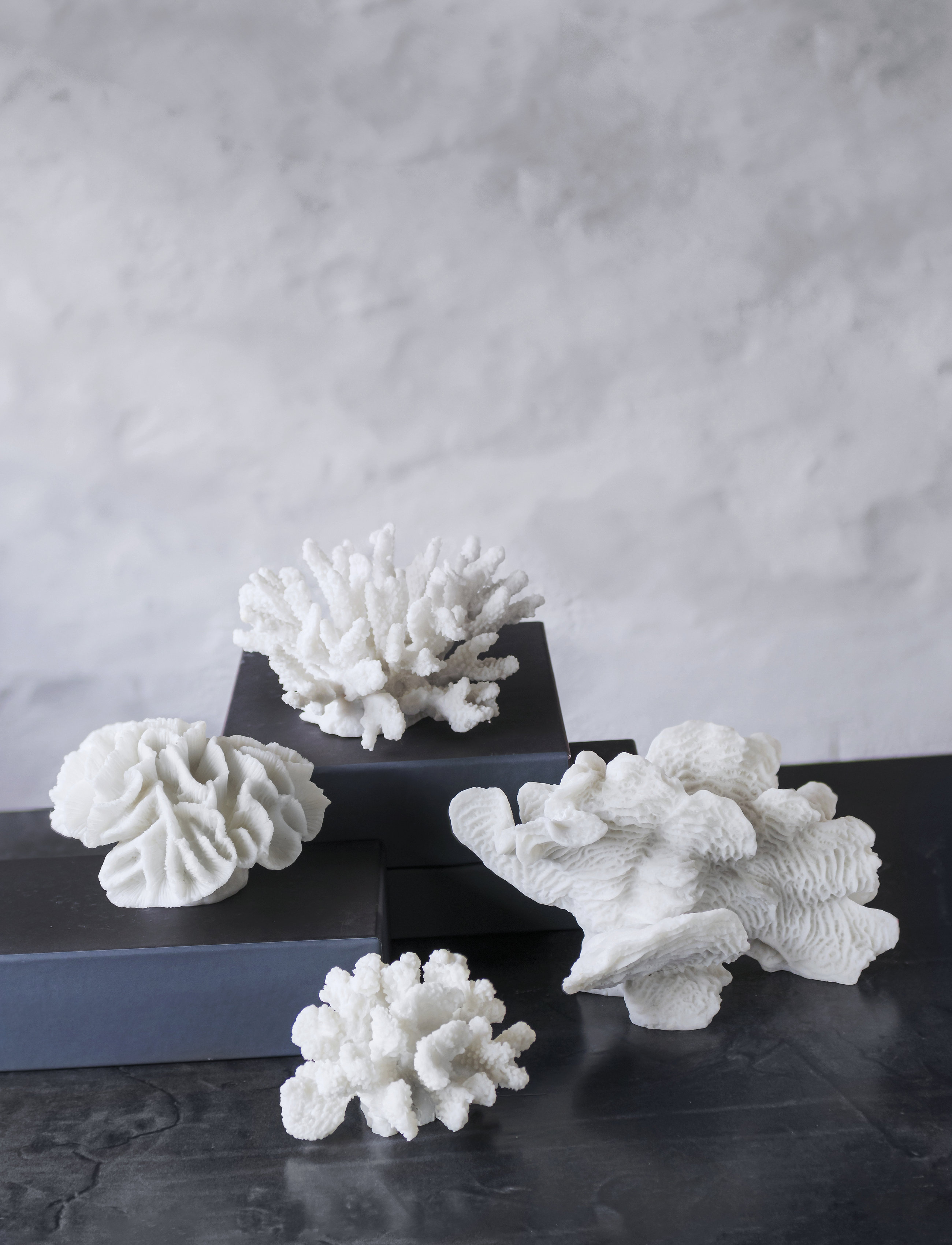 Mette Ditmer - CORAL, branches - figūras un skulptūras - white - 3