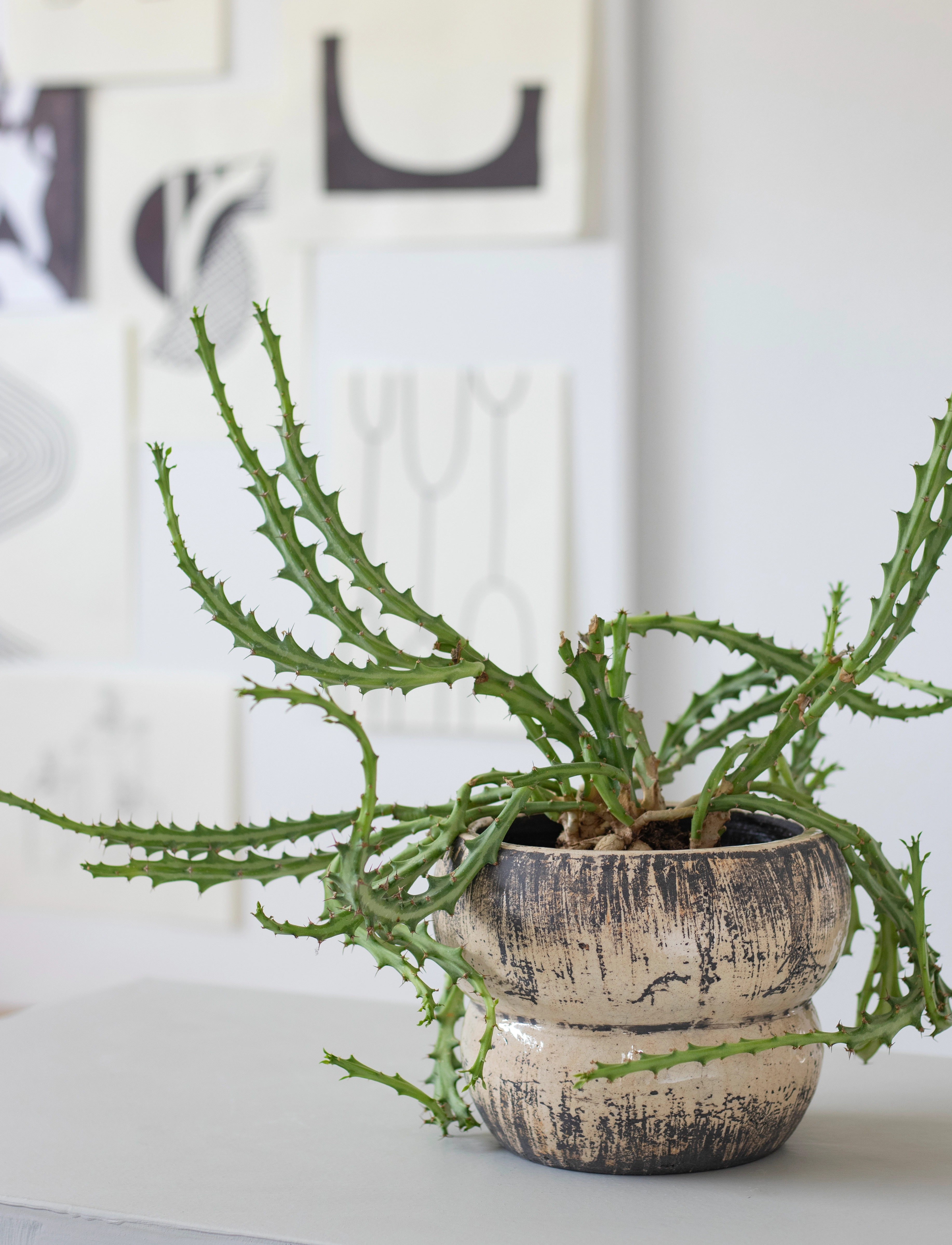 Mette Ditmer Raw Flowerpot, H:13.5 cm, Decoration, Beige - Flower Pots, Homeware