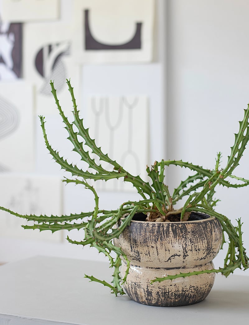 Mette Ditmer - RAW flowerpot - blumentöpfe - off-white - 0