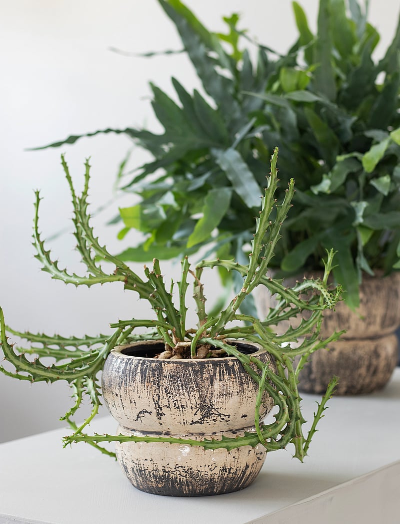 Mette Ditmer - RAW flowerpot - blumentöpfe - off-white - 2