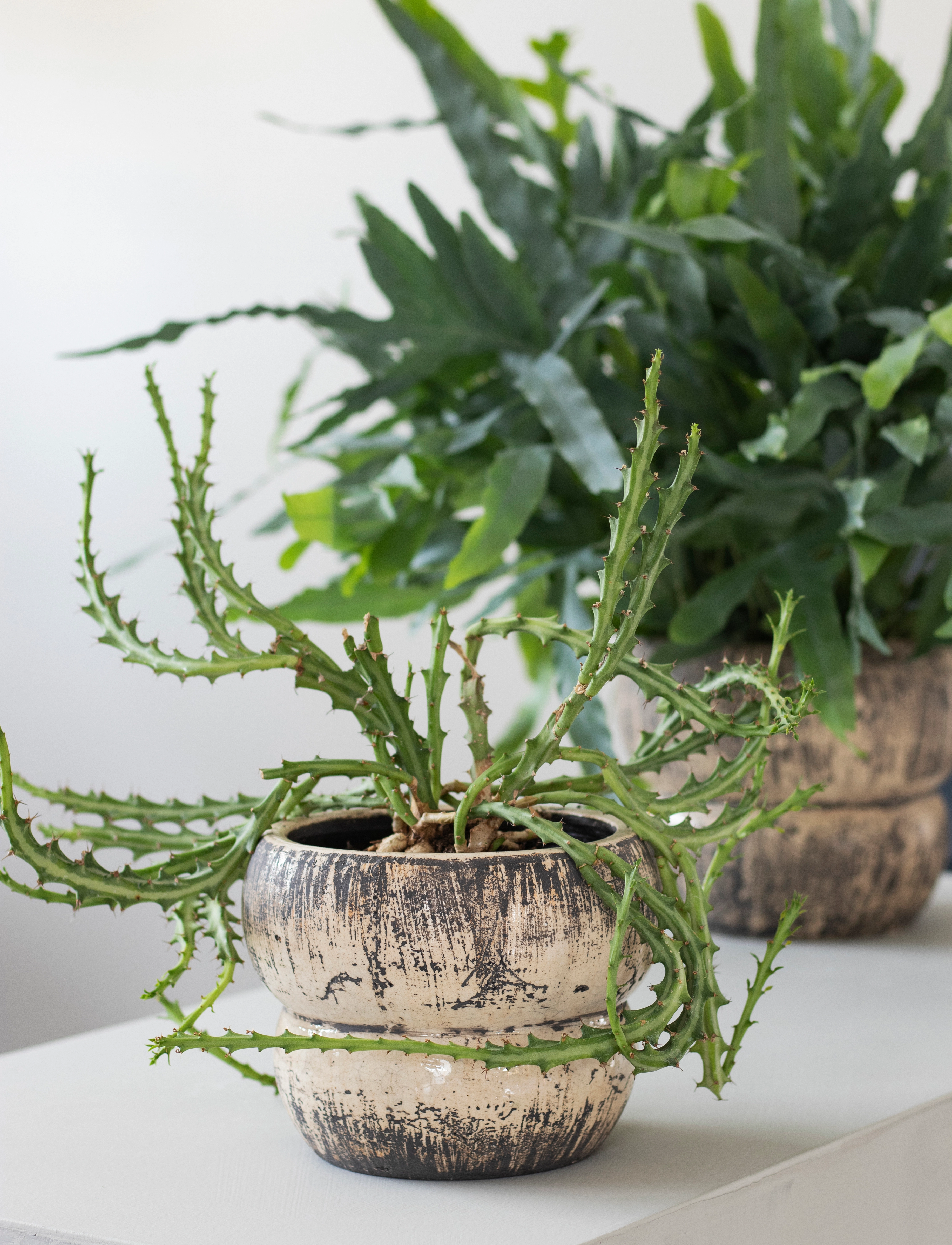 Mette Ditmer - RAW flowerpot - blumentöpfe - off-white - 2