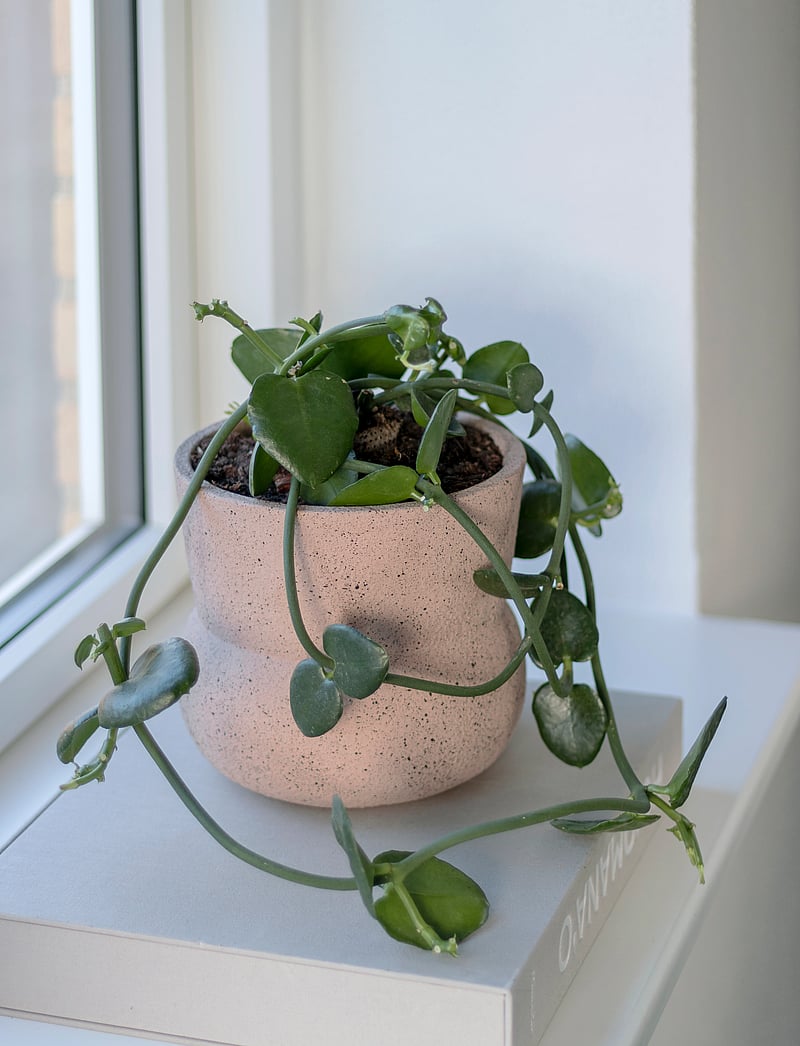 Mette Ditmer - STONE flowerpot - nach preis einkaufen - blush - 2