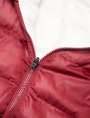 Mexx - Jacket - donsjacks & gevoerde jassen - biking red - 6