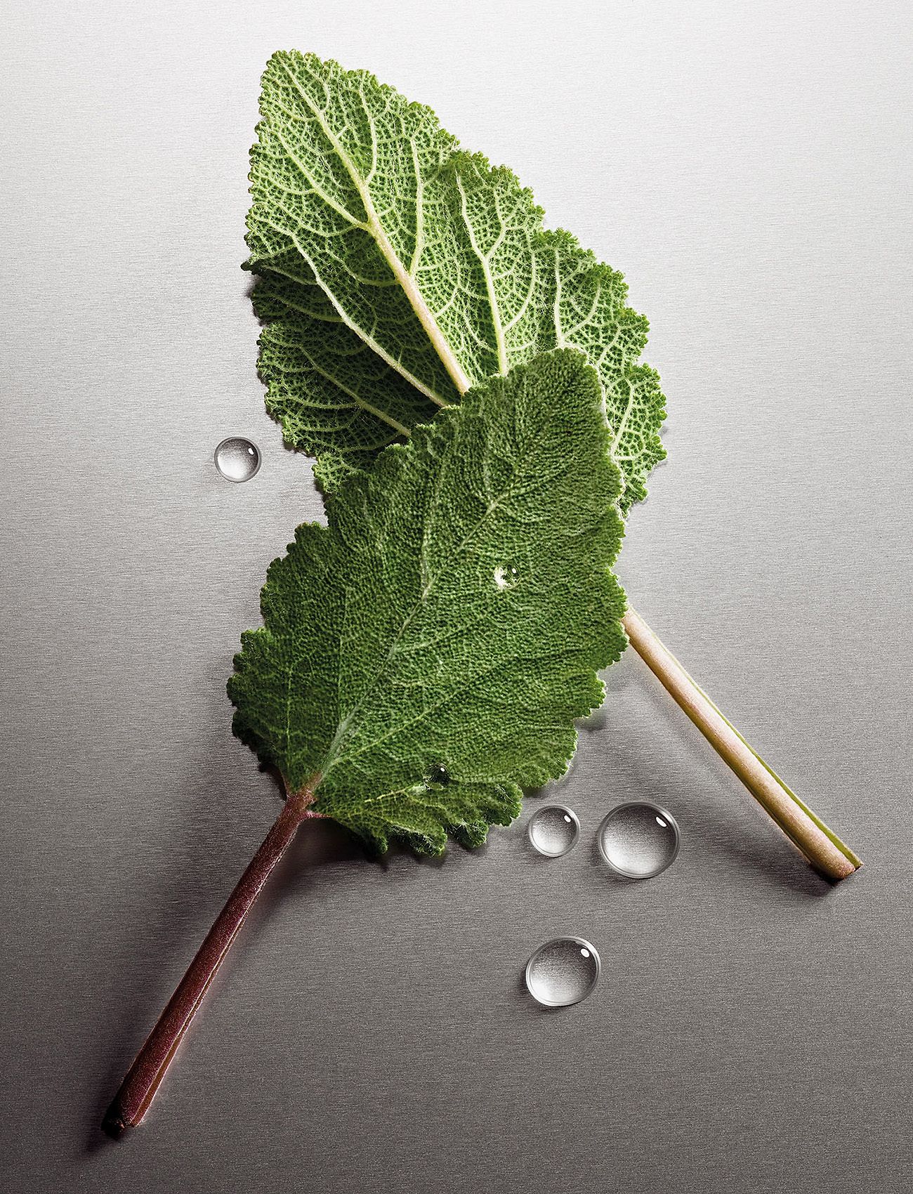 Michael Kors Fragrance - Pour Homme EdP - til ham  - clear - 2