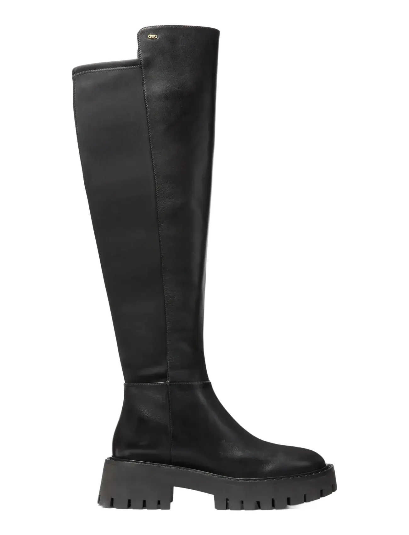 Asher Boot 2
