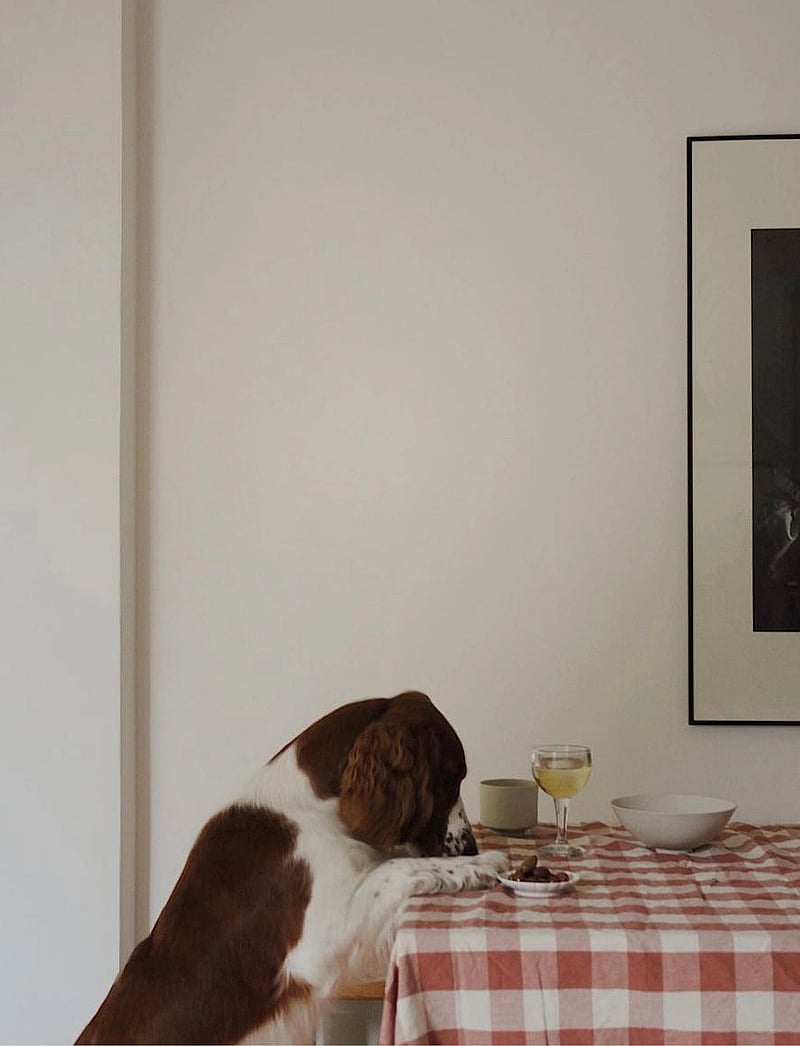 Midnatt - Tablecloth Bertel - dovanos žemiau 100€ - terracotta - 1