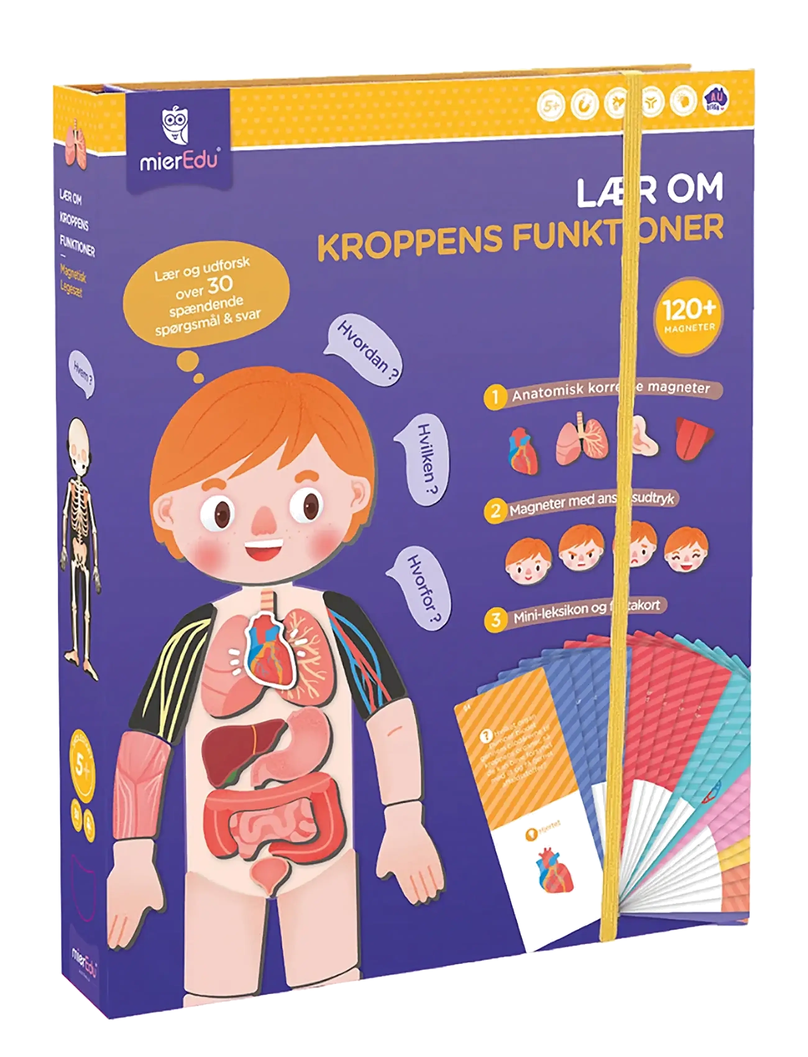 mierEdu - Magnetic Learning Box - All About Body and Emotion (Danish) - Õpetlikud mängud - multi - 1