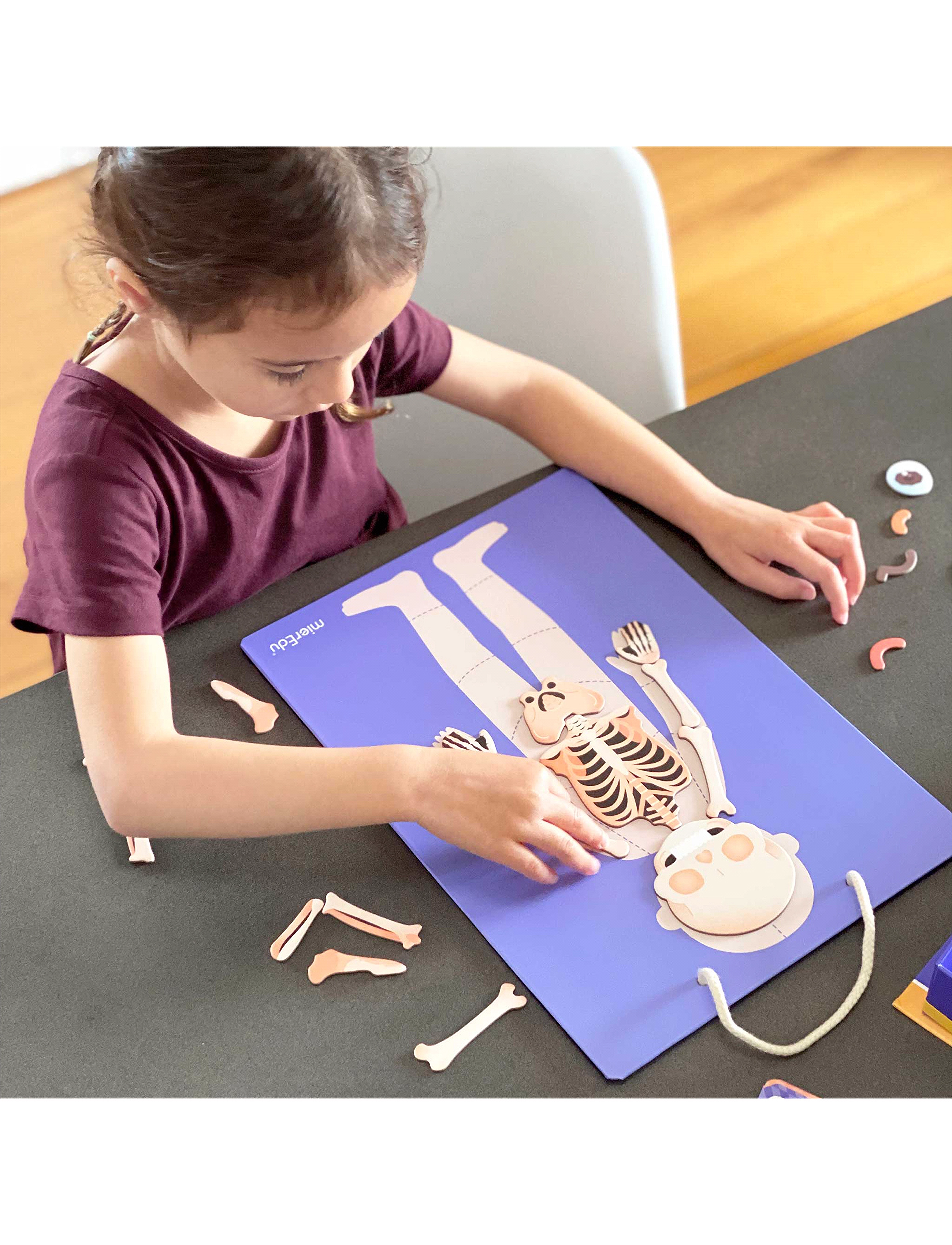 mierEdu Magnetic Learning Box All About Body And Emotion (Danish), One Size, Games, Mehrfarbig/gemustert - Educational Kinder
