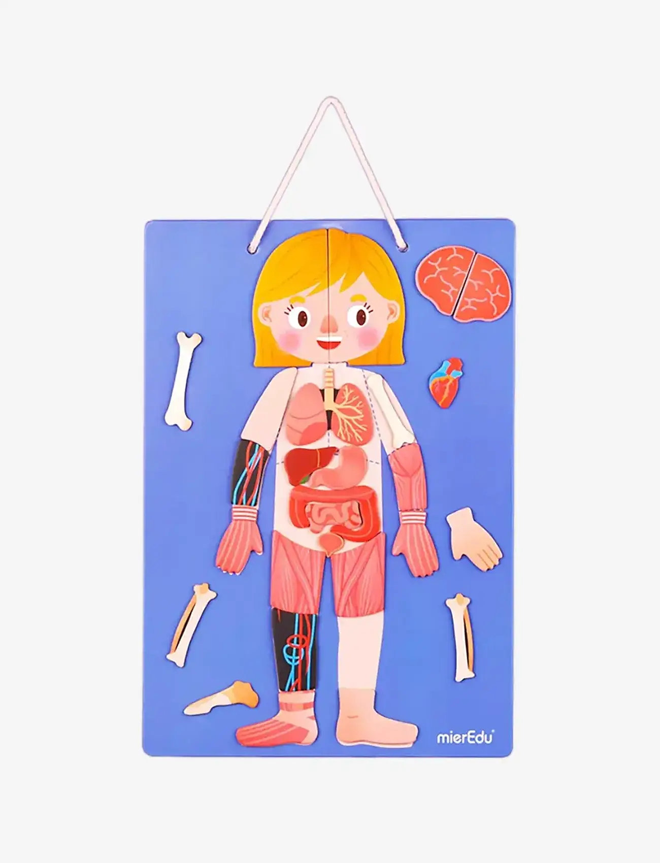 mierEdu - Magnetic Learning Box - All About Body and Emotion (Danish) - jeux éducatifs - multi - 4