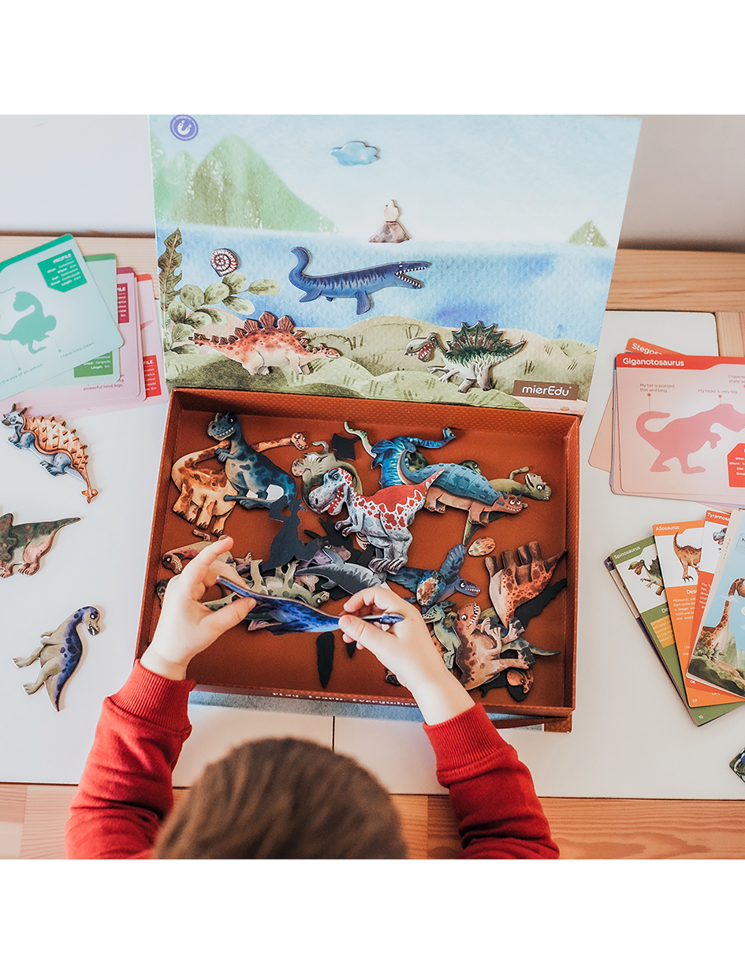 mierEdu Magnetic Learning Box All About Dinosaurs (Danish), One Size, Games, Mehrfarbig/gemustert - Educational Kinder