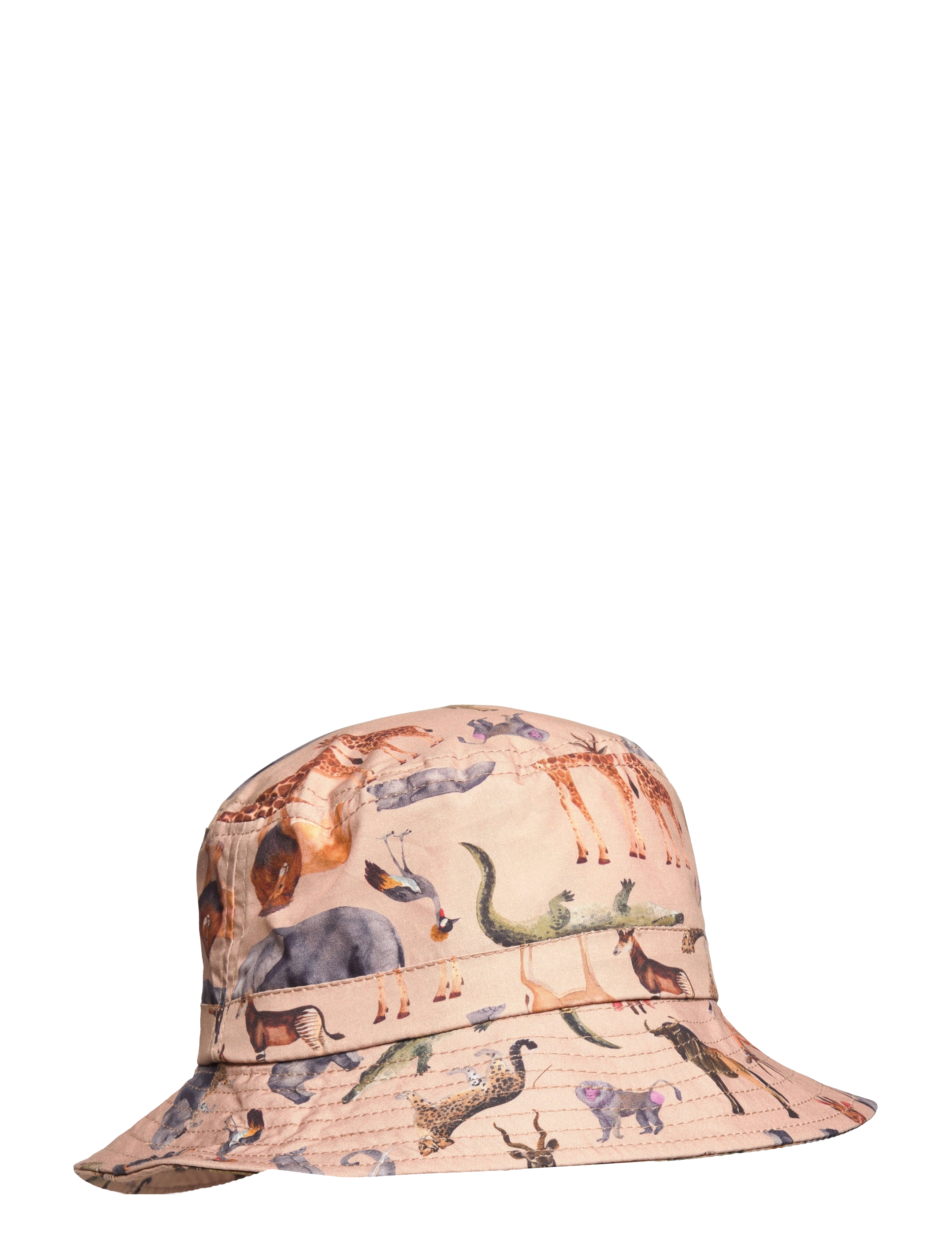 NOUGAT
