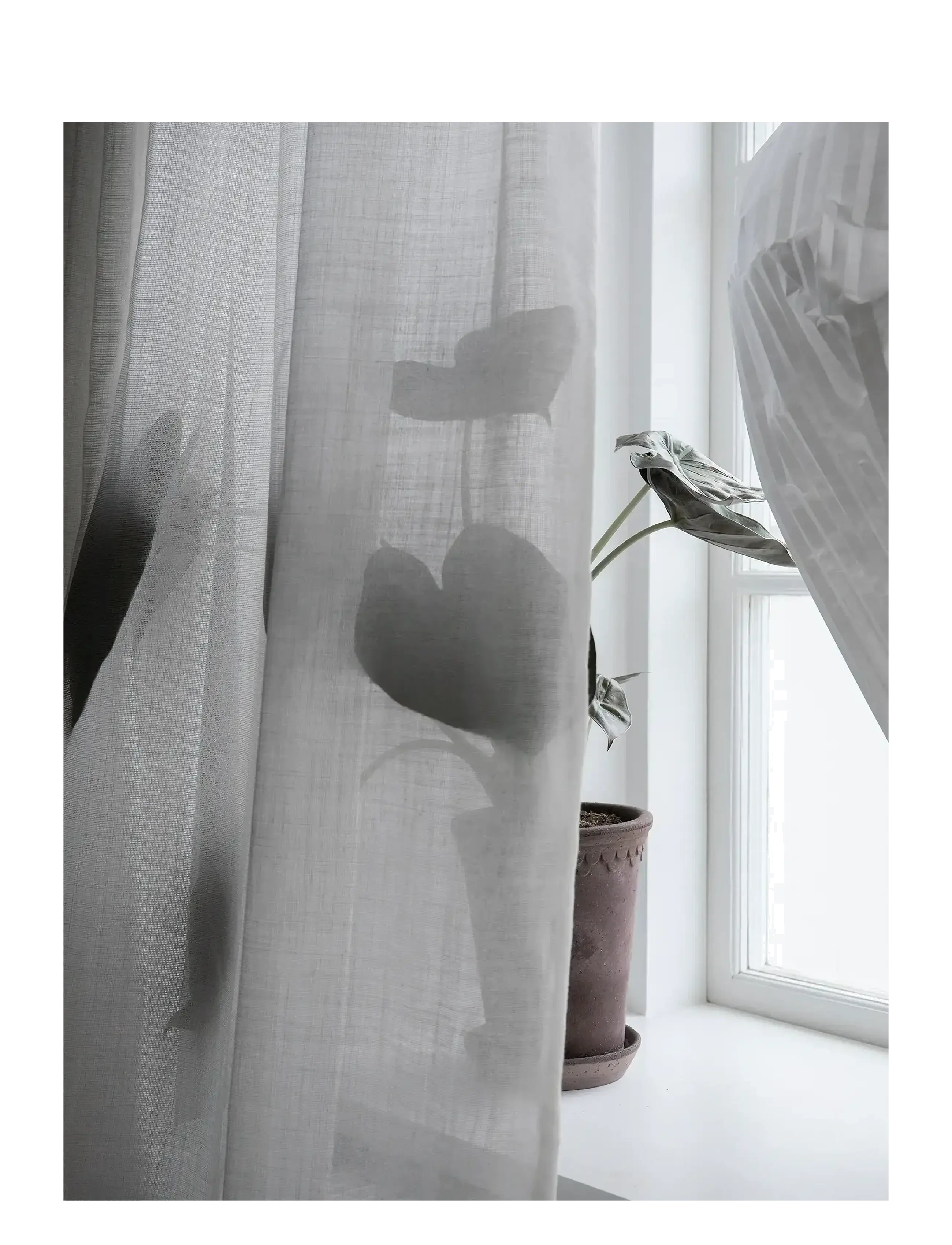 Mimou - Curtain Ellie double width - gardinlængde - white - 3