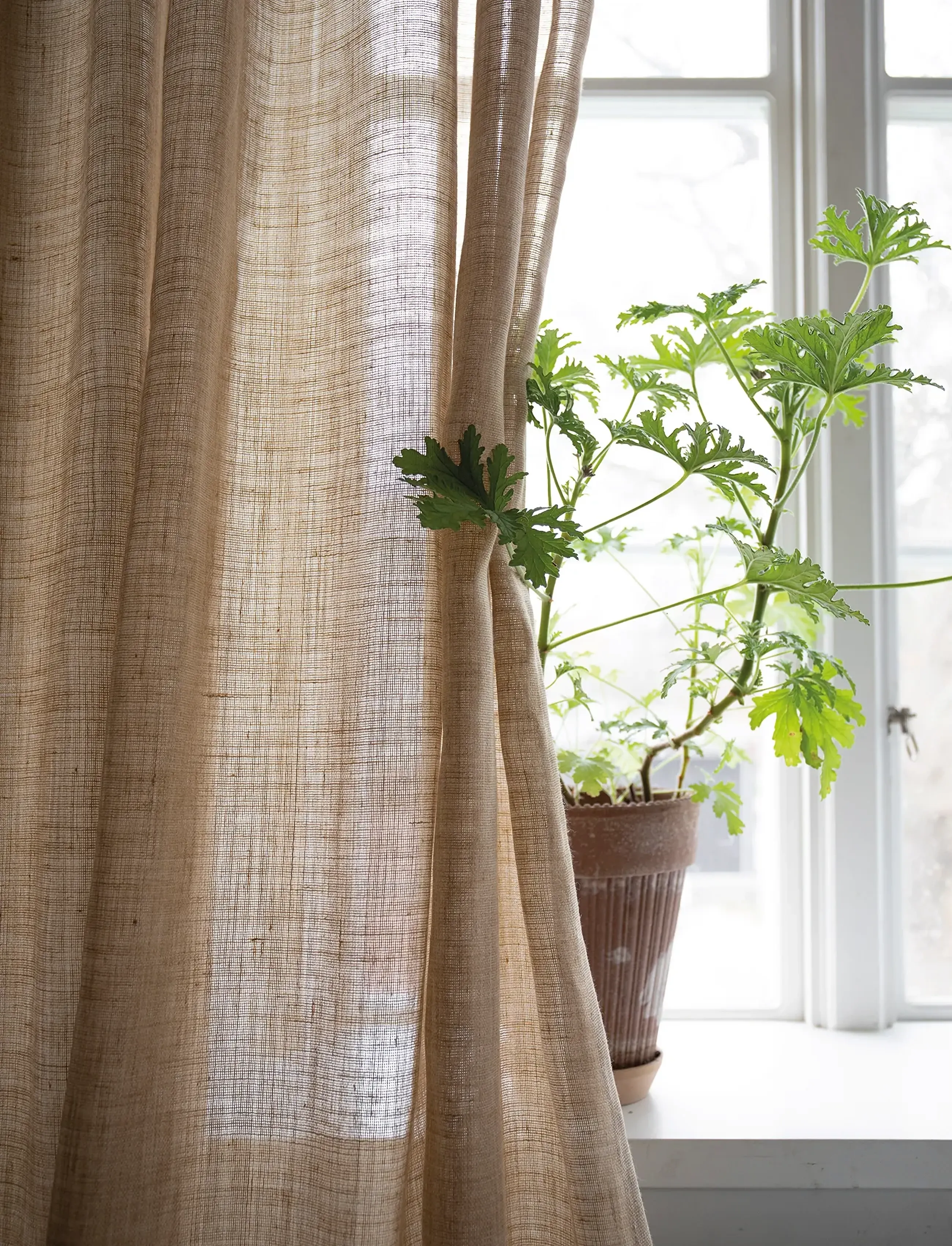 Mimou - Curtain Ellie double width - gardinlængde - straw - 5