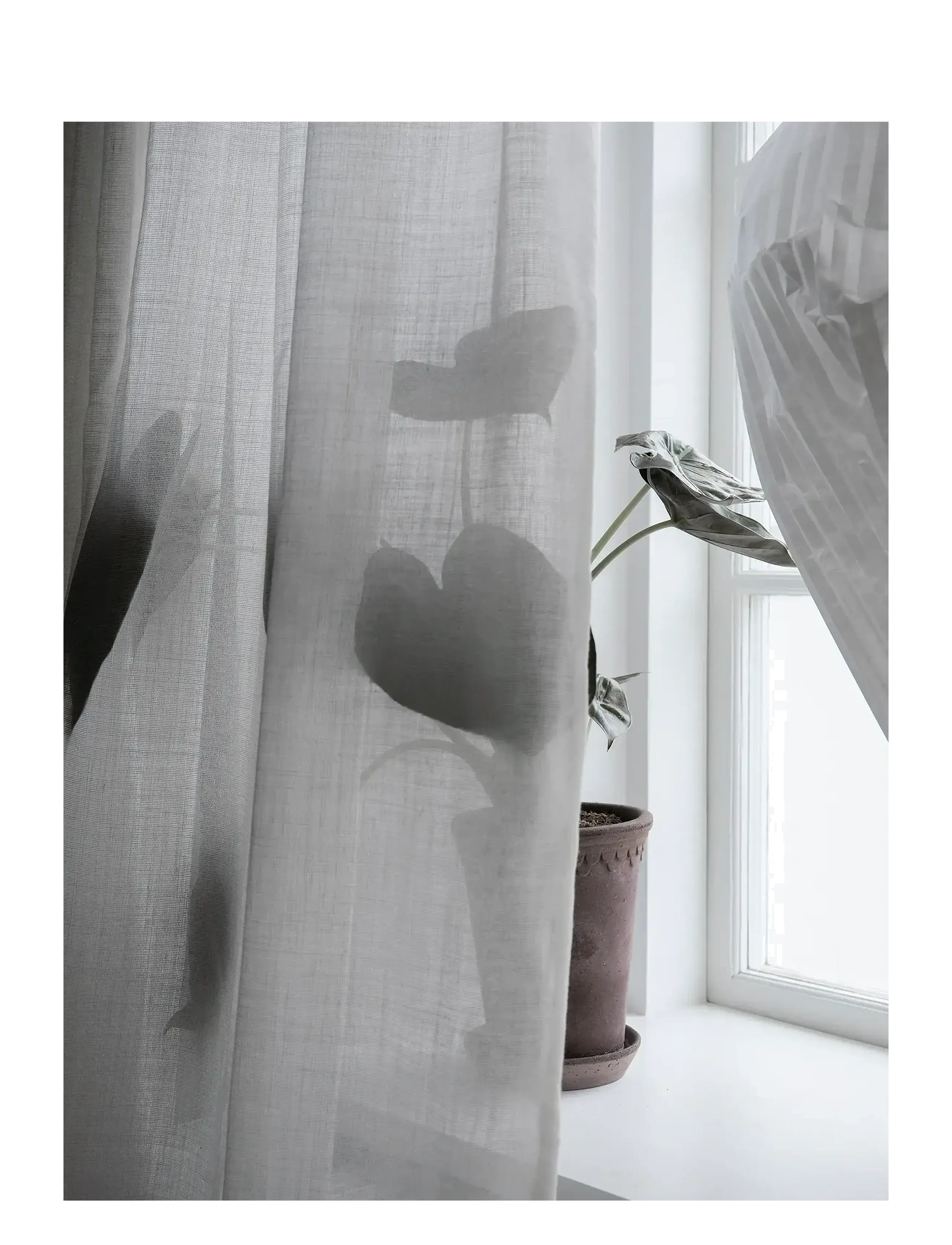 Mimou - Curtain Ellie Double width - fertiggardinen - white - 3