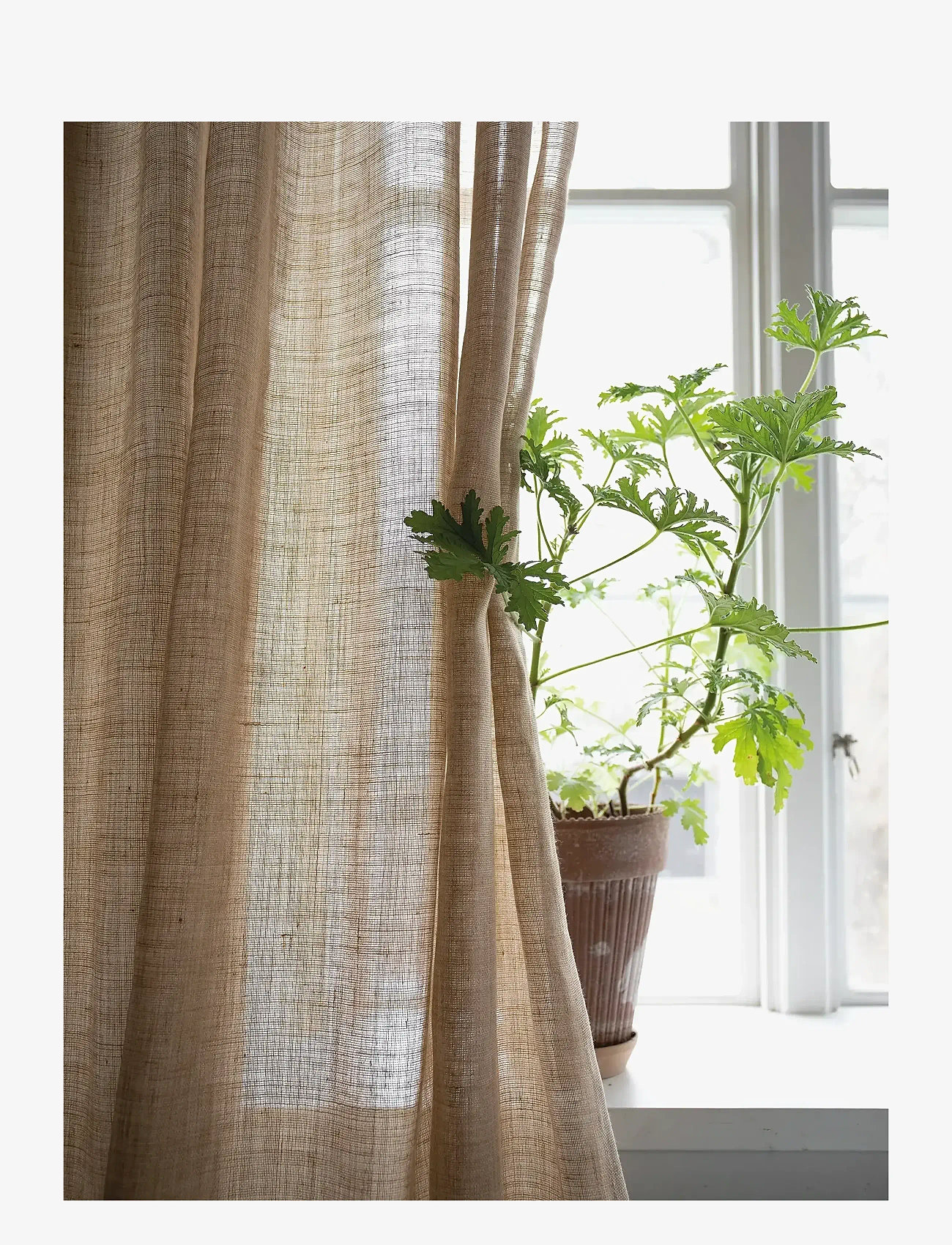 Mimou - Curtain Ellie Double width - gardinlængde - straw - 3